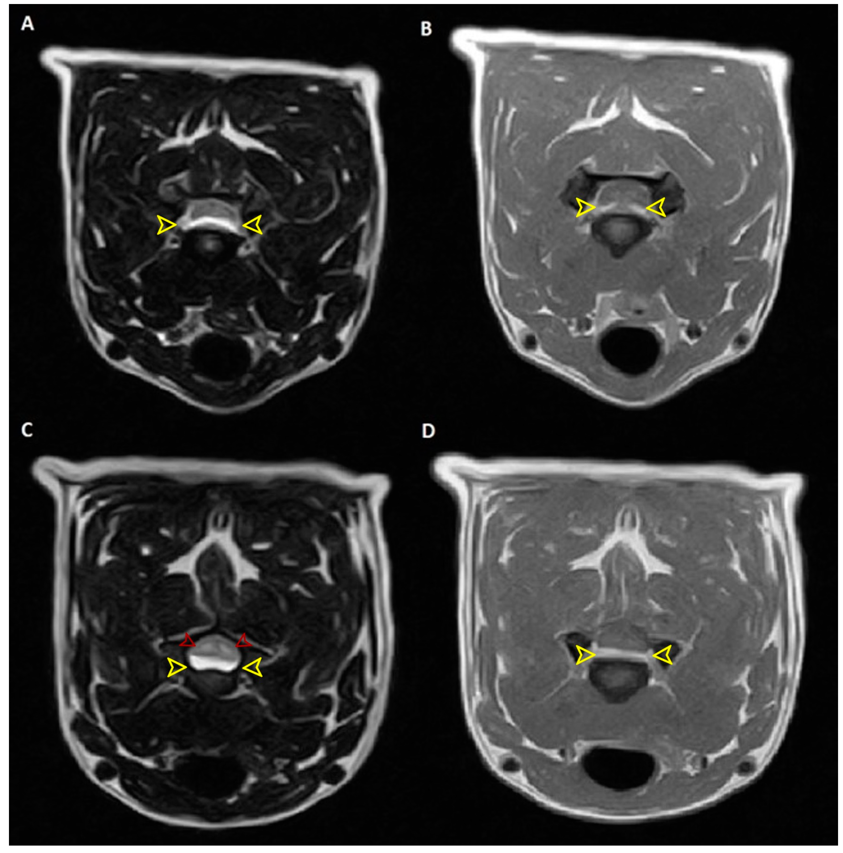Animals 14 02889 g003