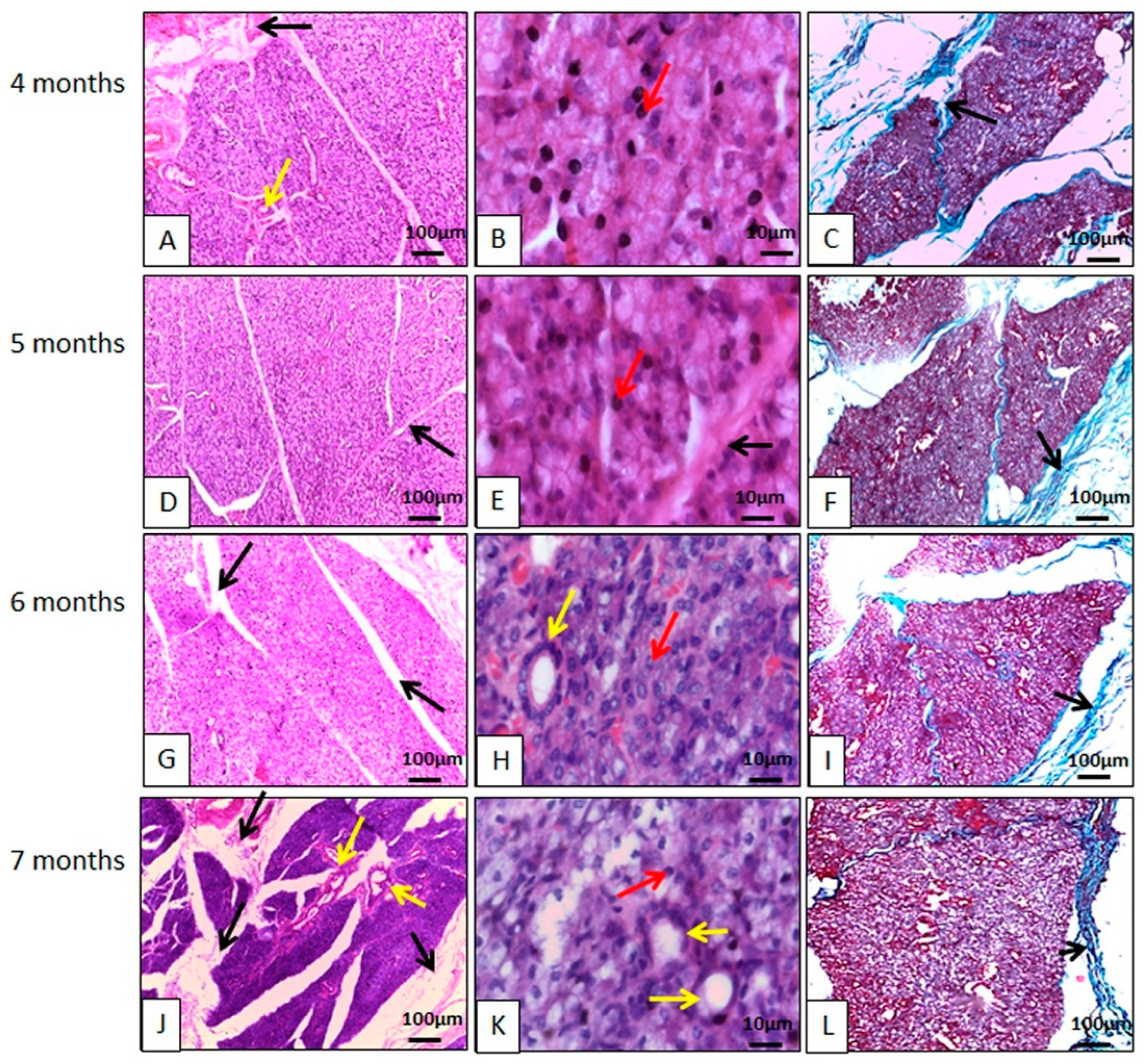 Animals 14 02891 g002