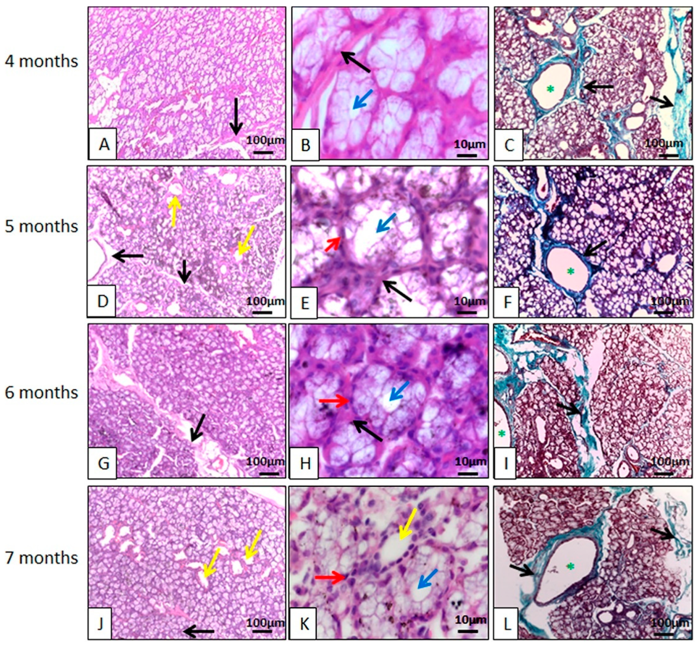 Animals 14 02891 g004