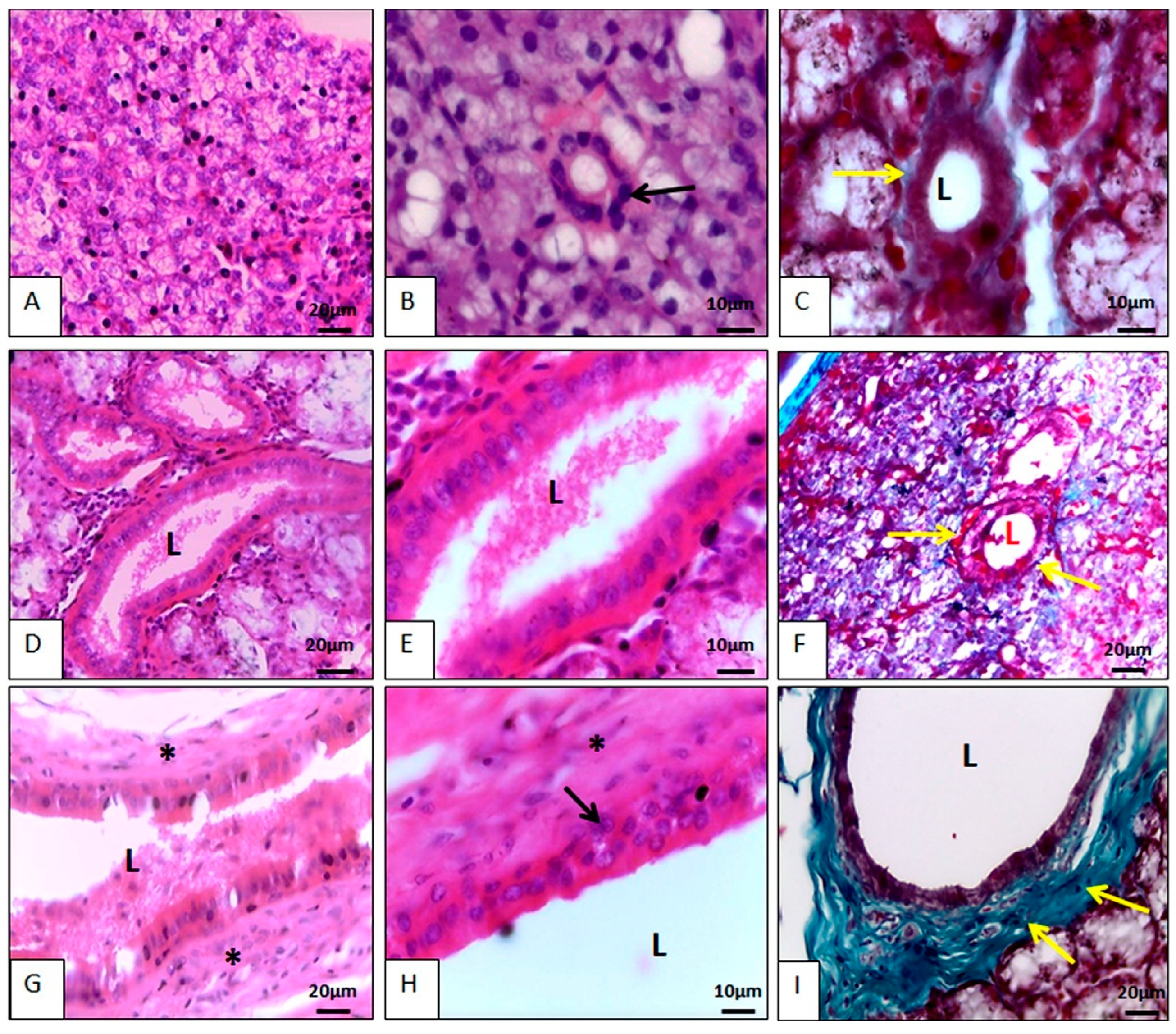 Animals 14 02891 g006