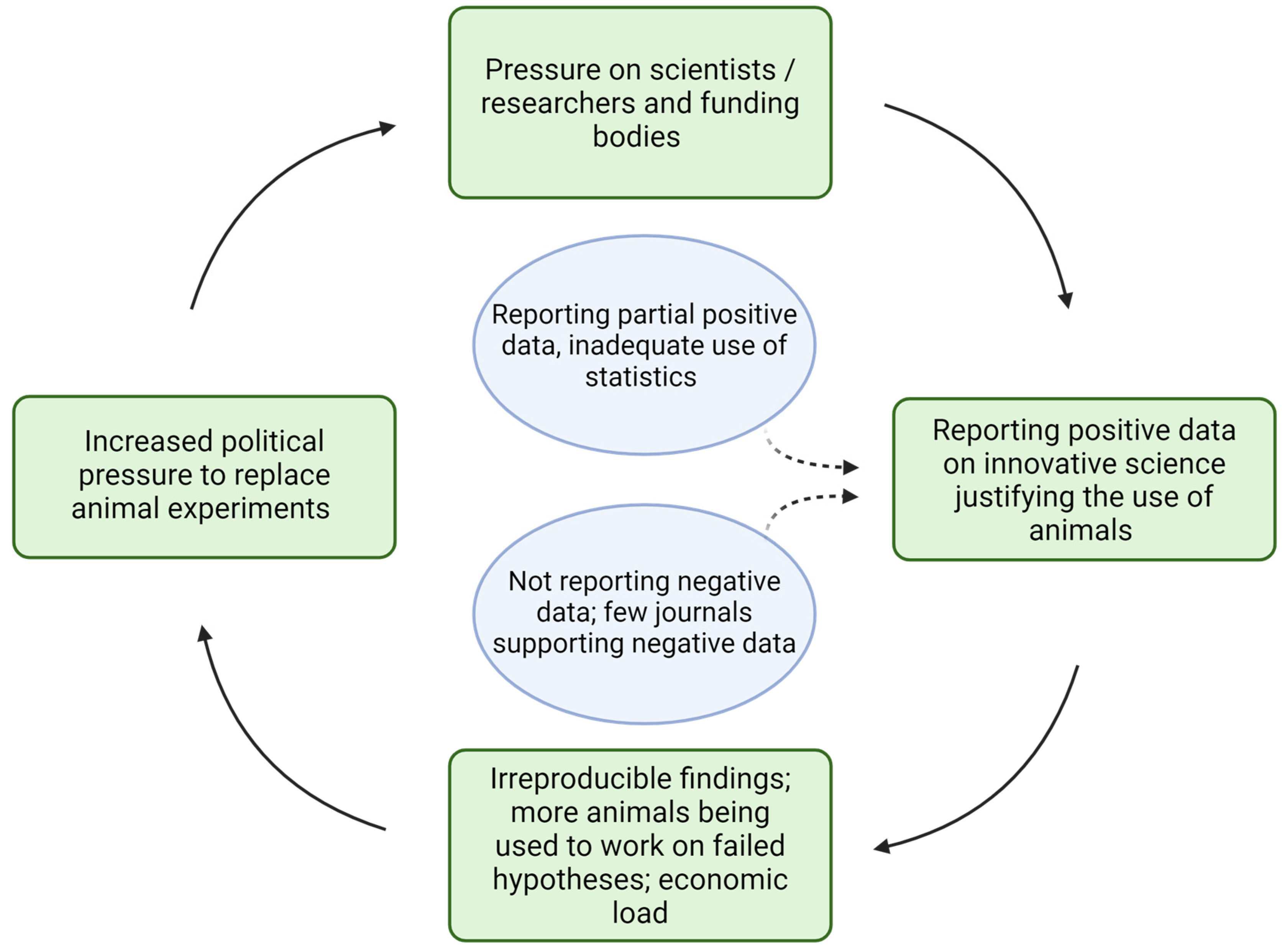 Animals 14 02896 g003