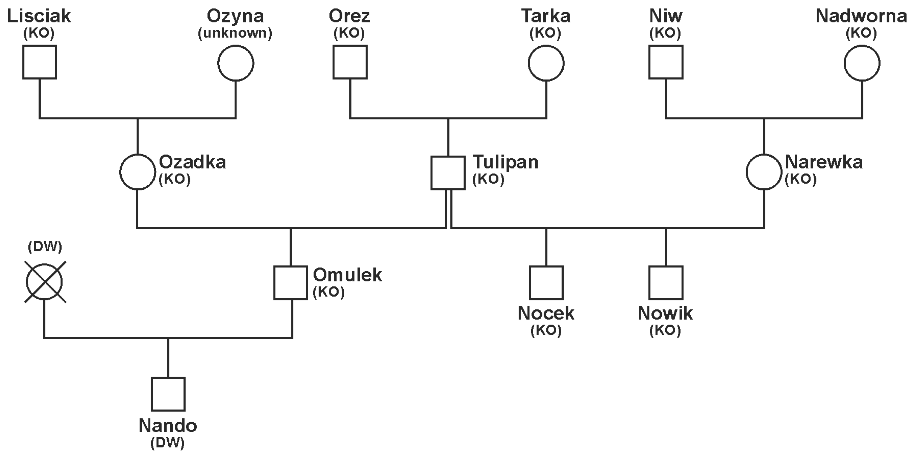 Animals 14 02904 g001