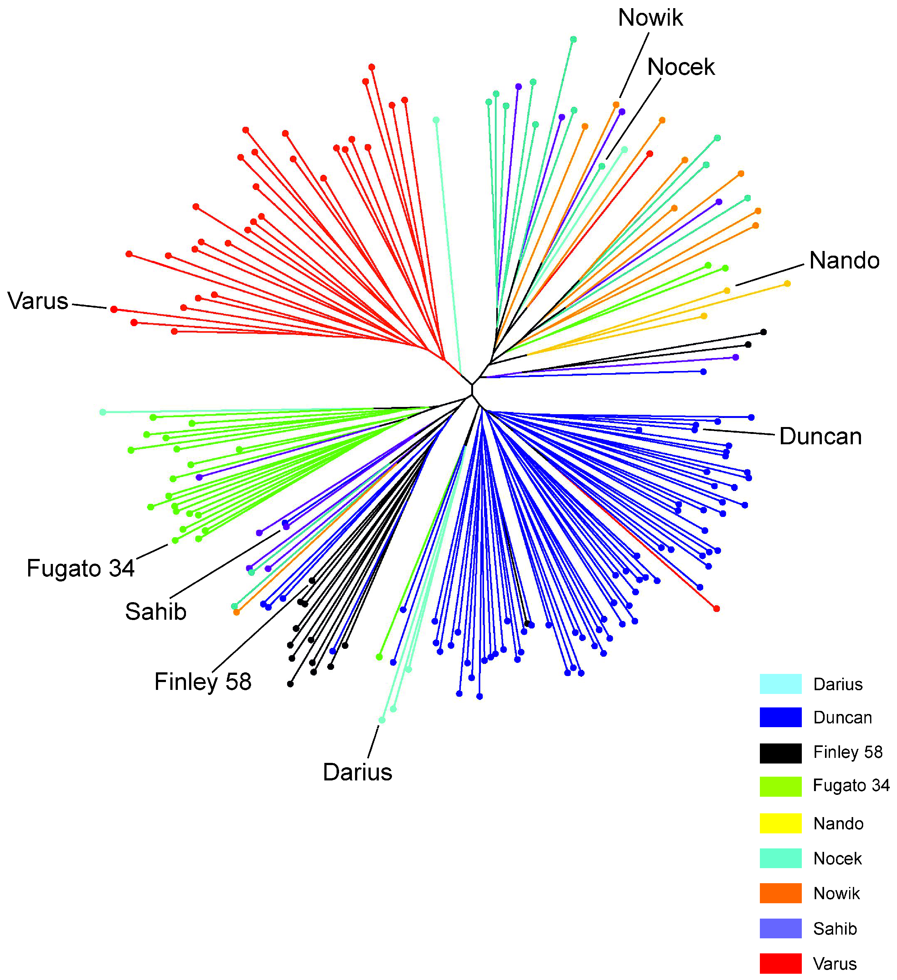 Animals 14 02904 g003