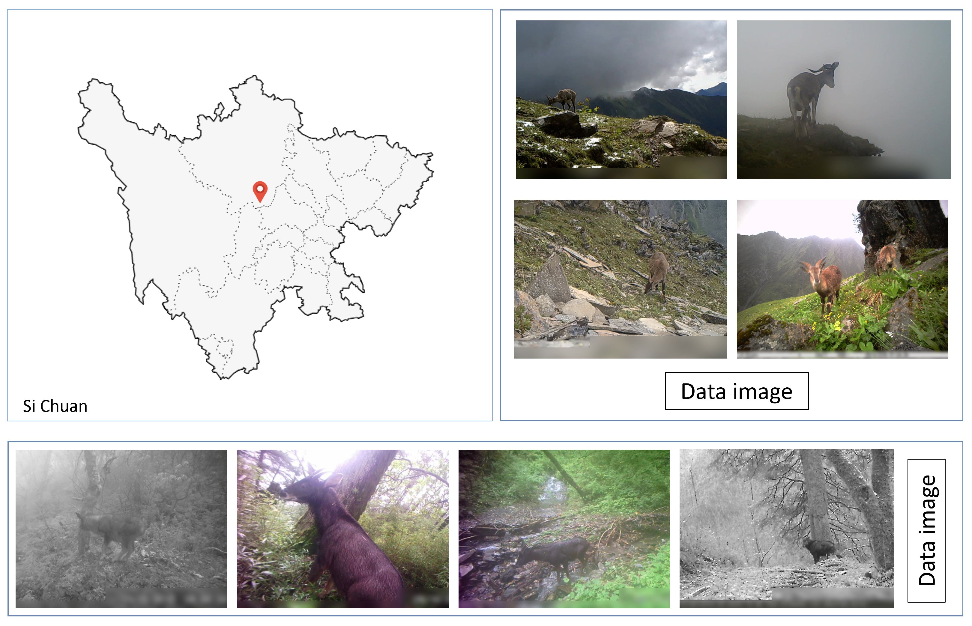 Animals 14 02909 g001