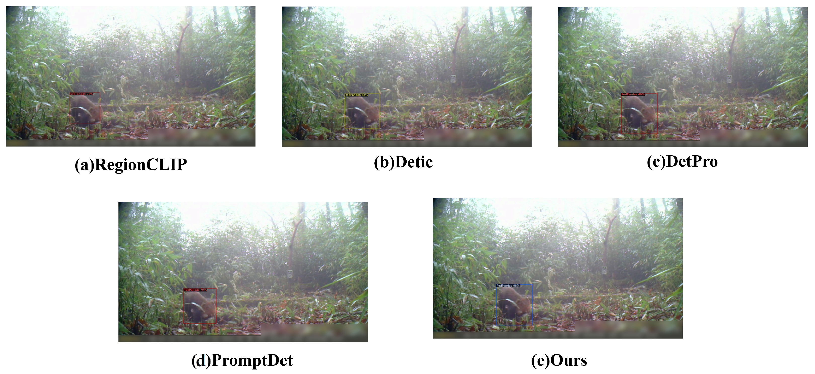 Animals 14 02909 g011