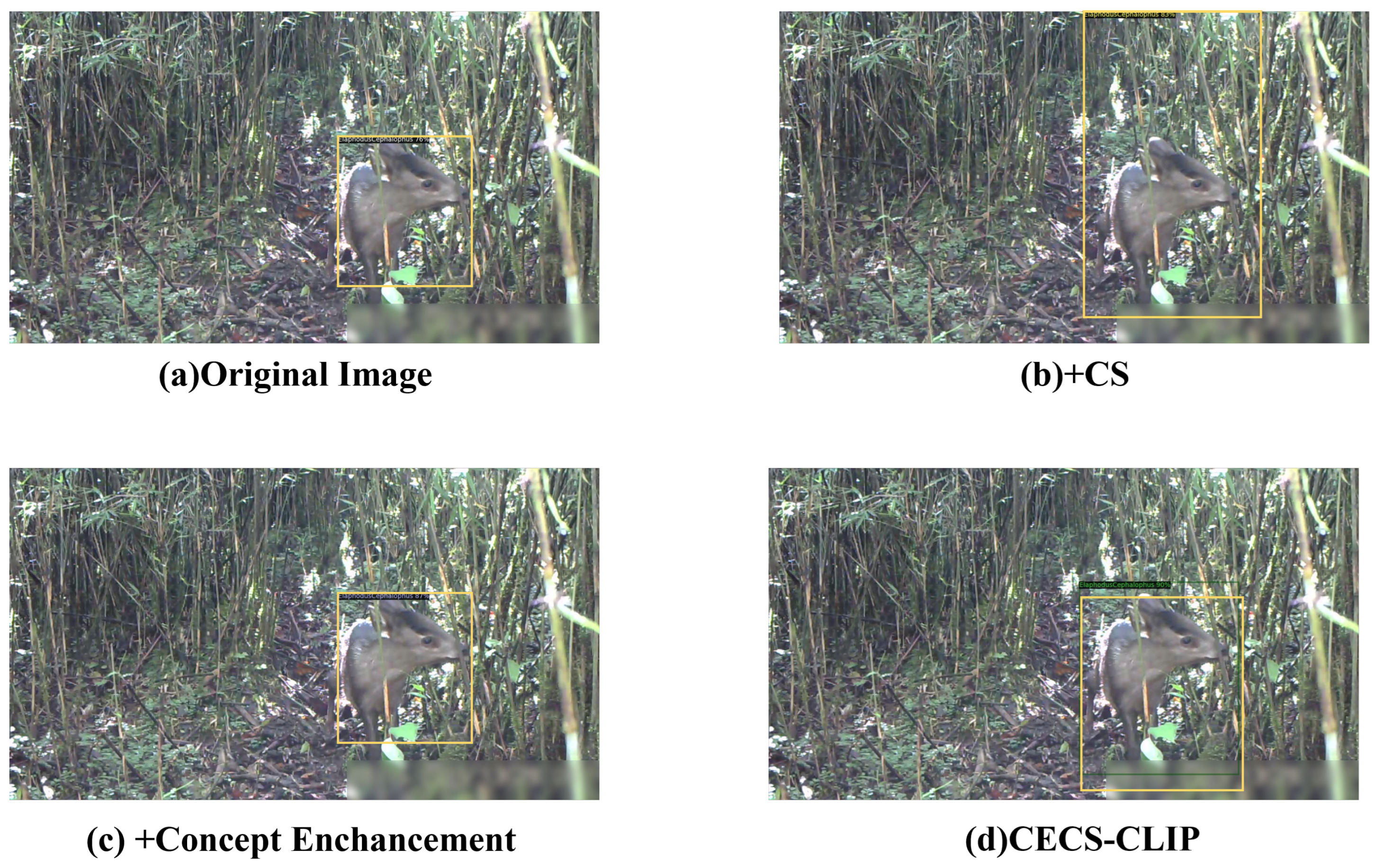 Animals 14 02909 g013