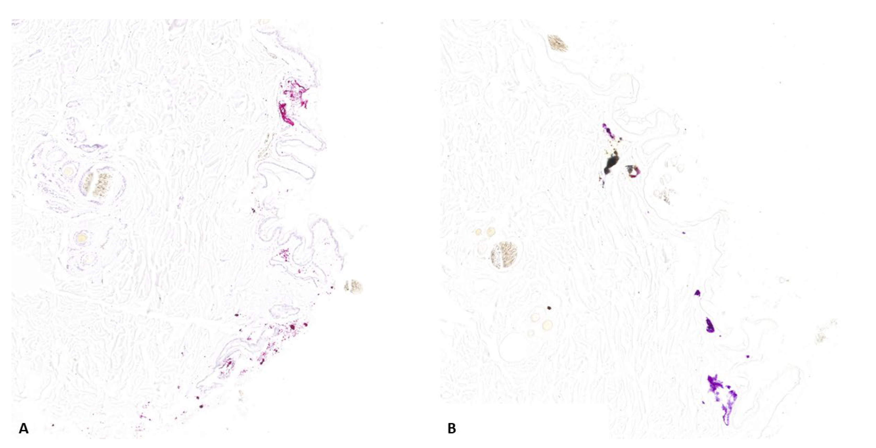 Animals 14 02913 g010