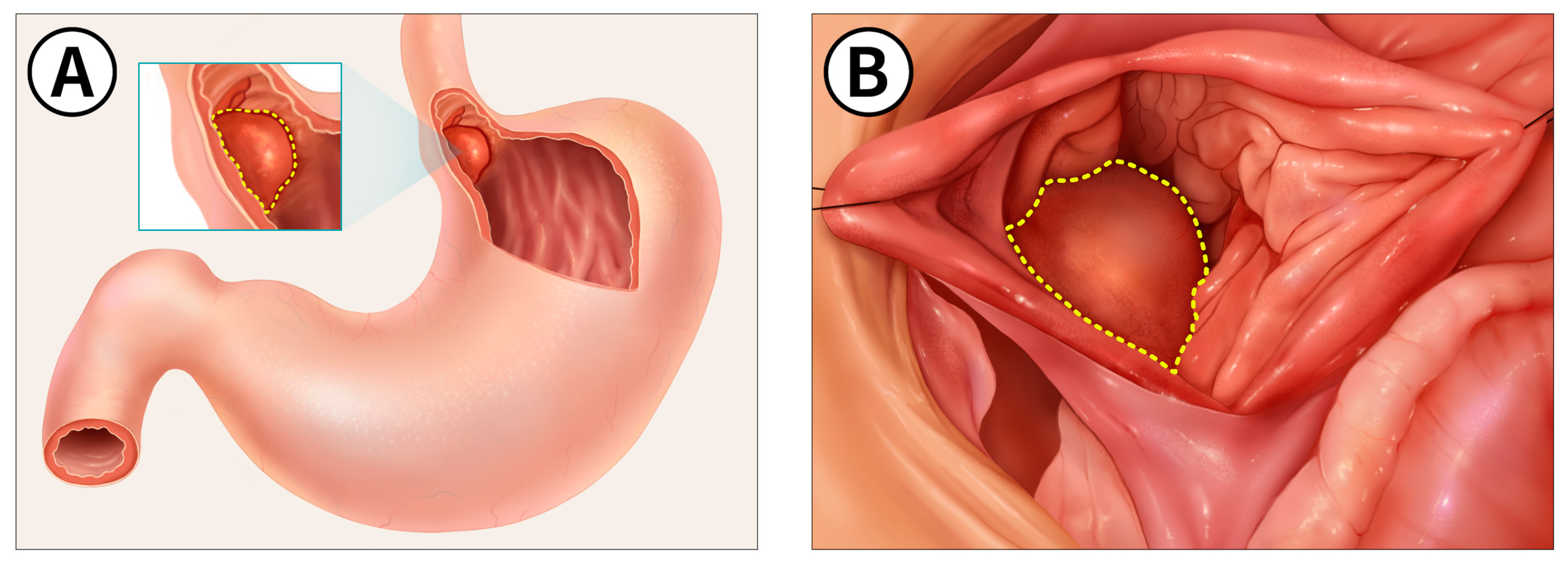 Animals 14 02917 g002