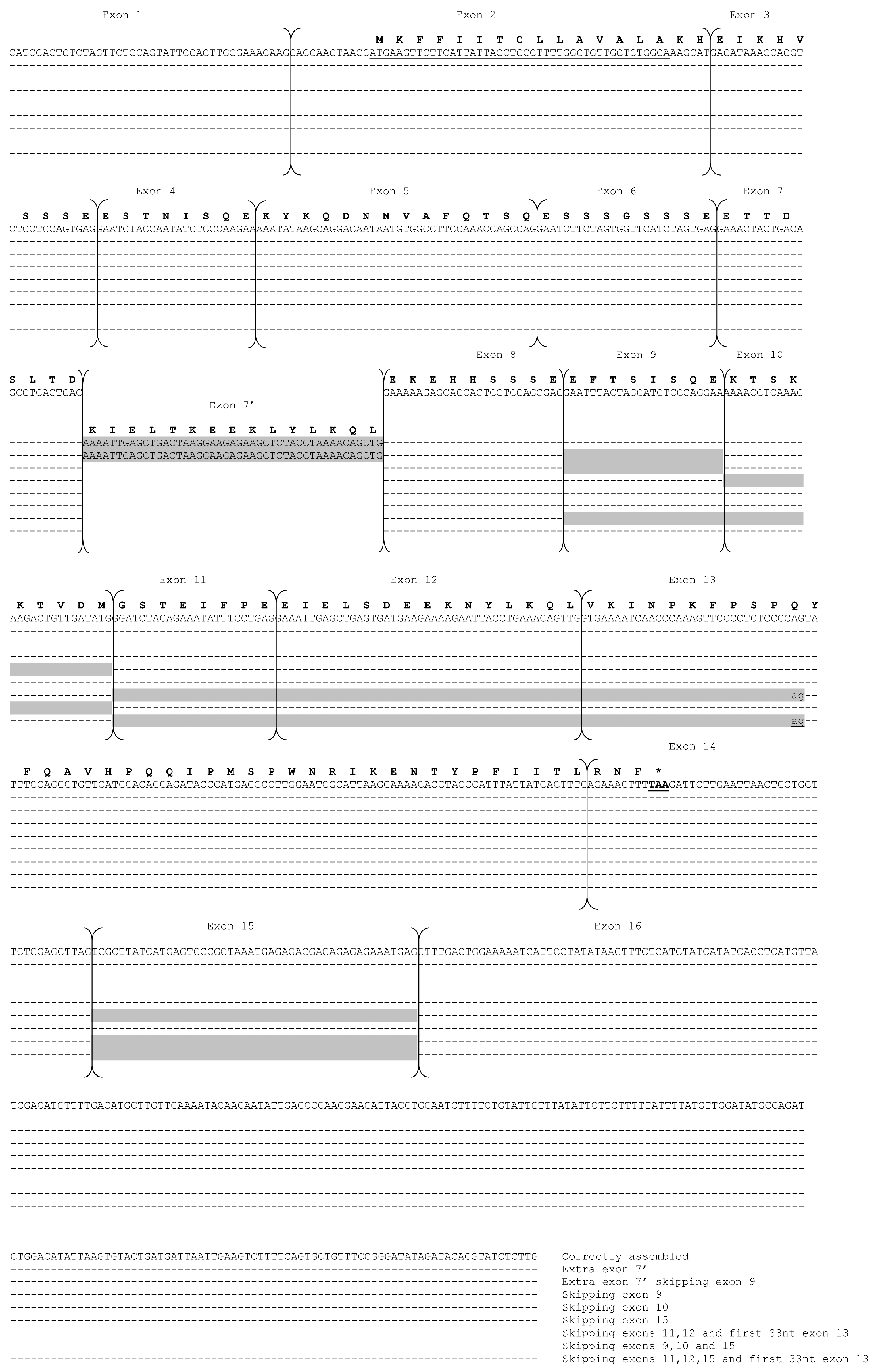 Animals 14 02918 g002 Animals 14 02918 g002