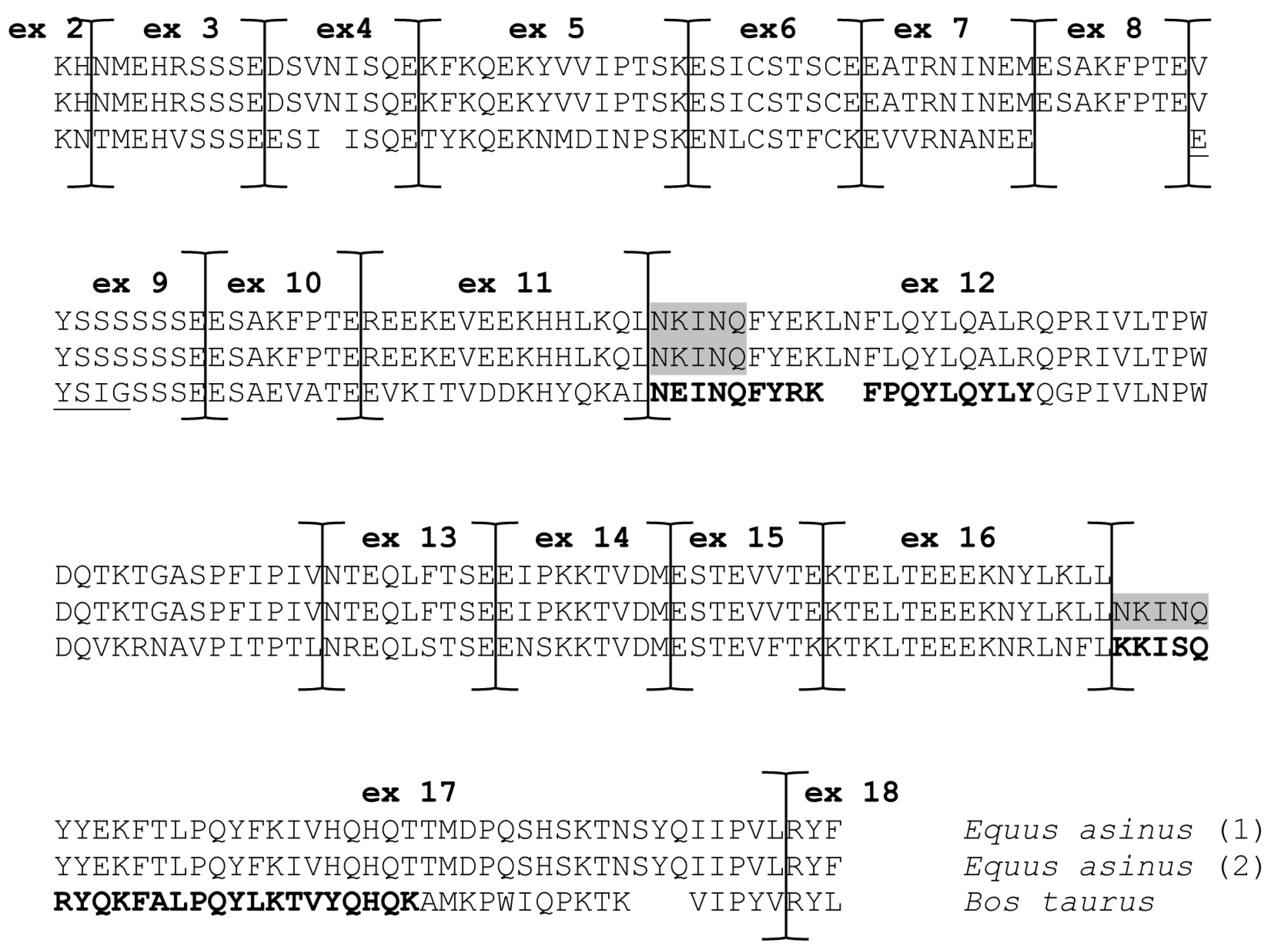 Animals 14 02918 g003 Animals 14 02918 g003