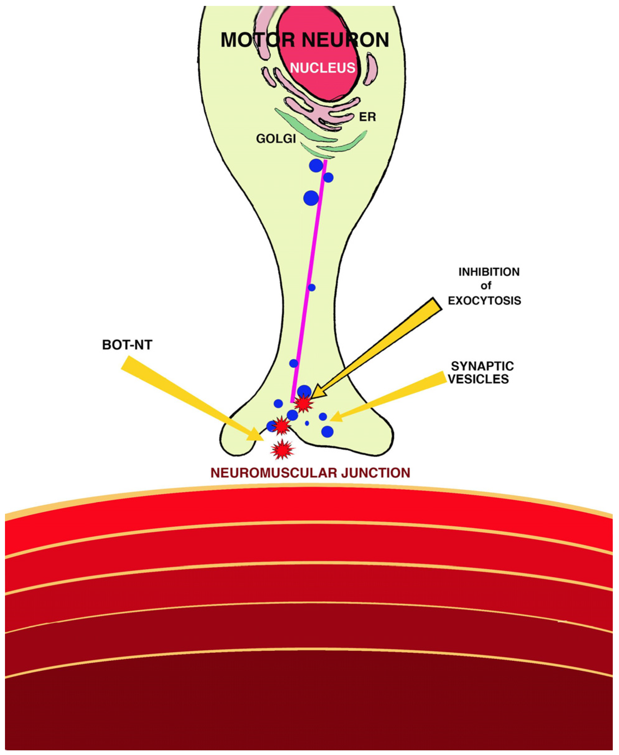 Animals 14 02919 g001