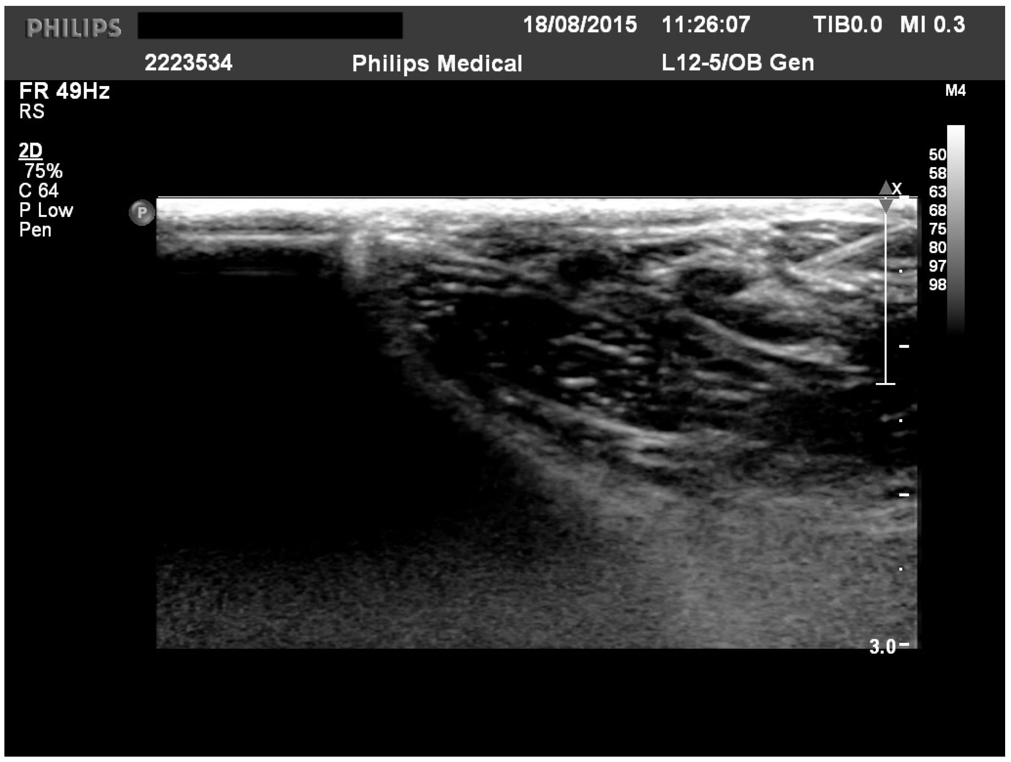 Animals 14 02921 g001