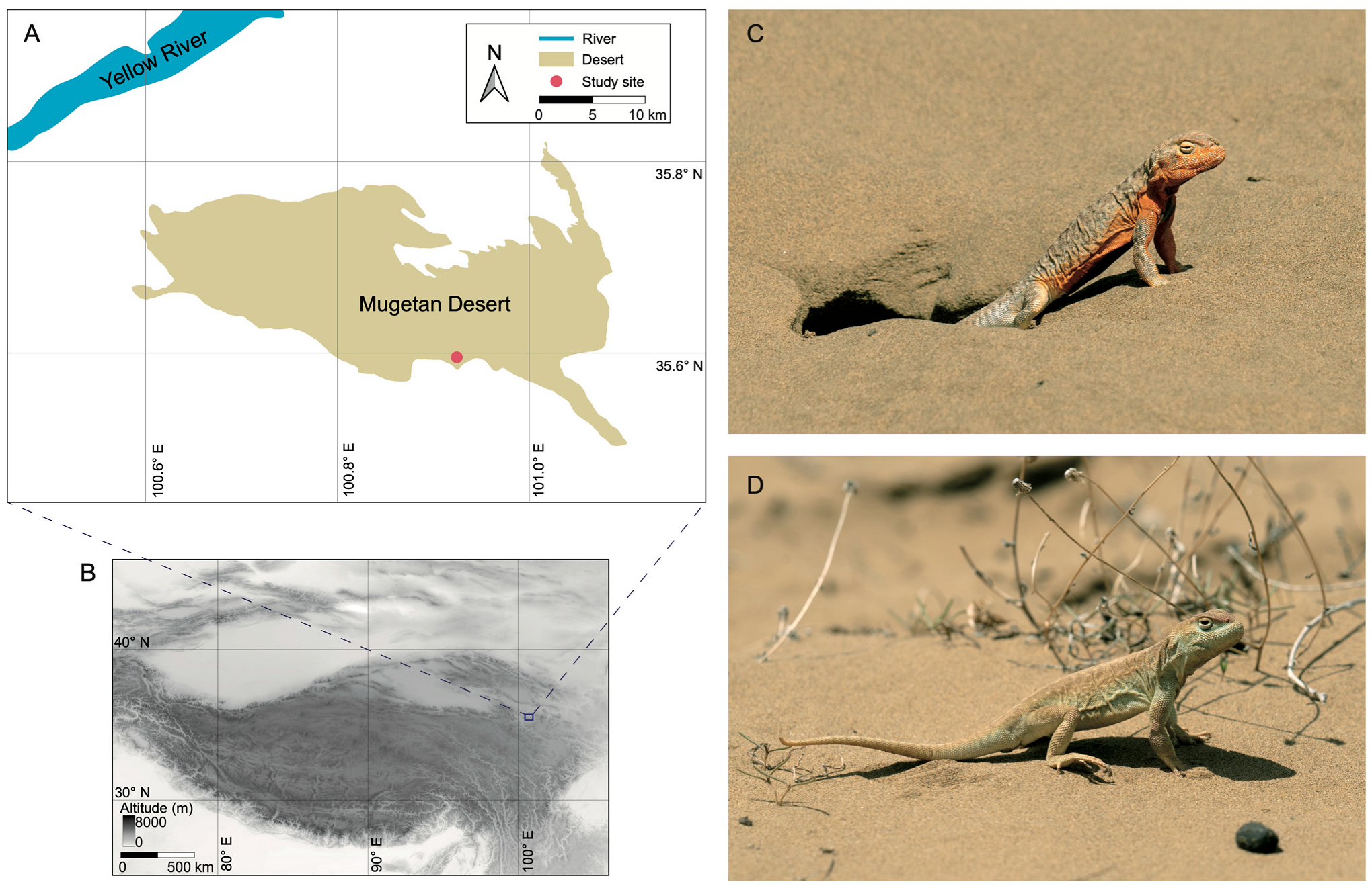 Animals 14 02923 g001 Animals 14 02923 g001