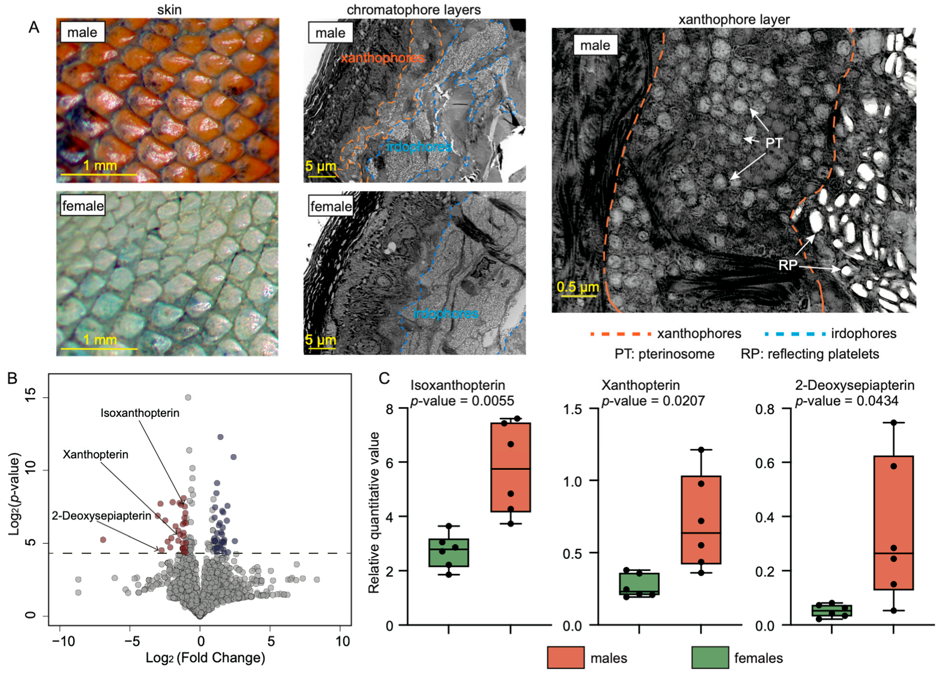Animals 14 02923 g002 Animals 14 02923 g002