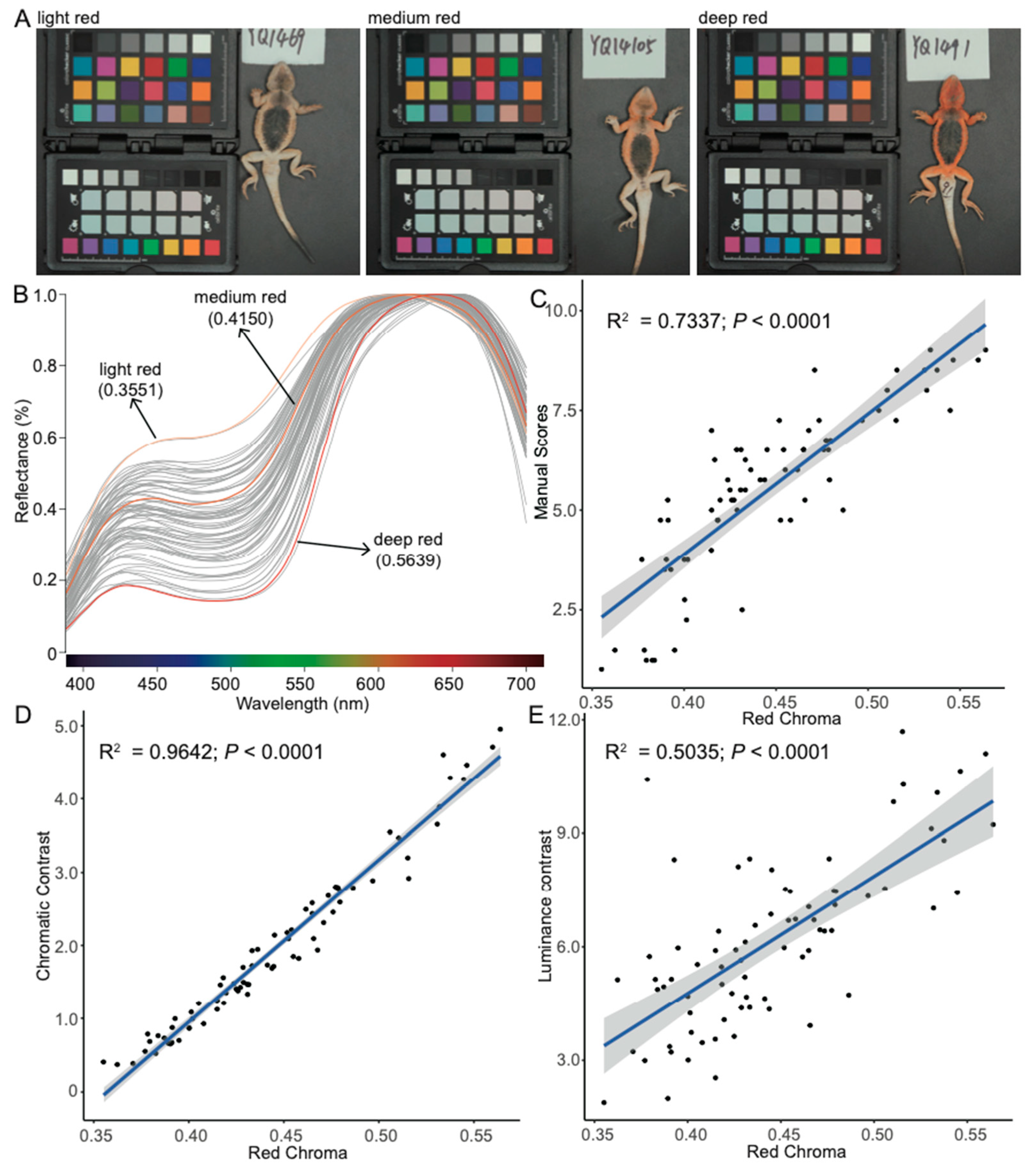 Animals 14 02923 g003 Animals 14 02923 g003
