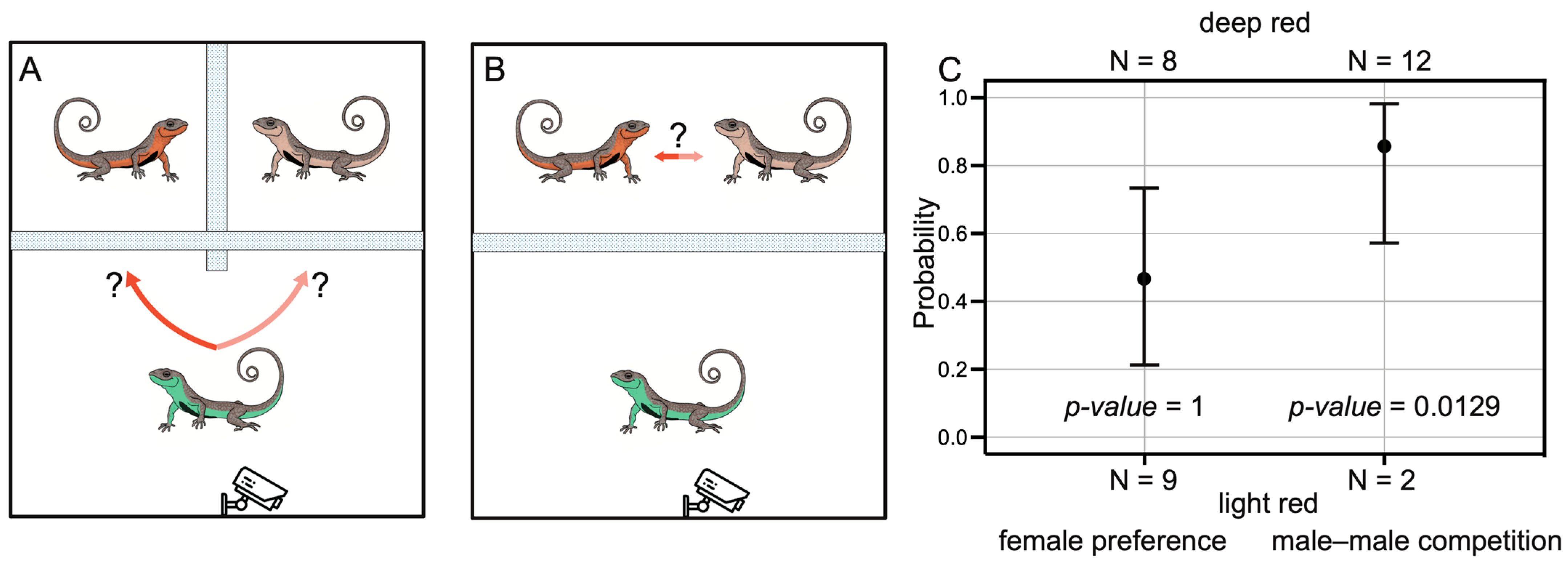 Animals 14 02923 g005 Animals 14 02923 g005