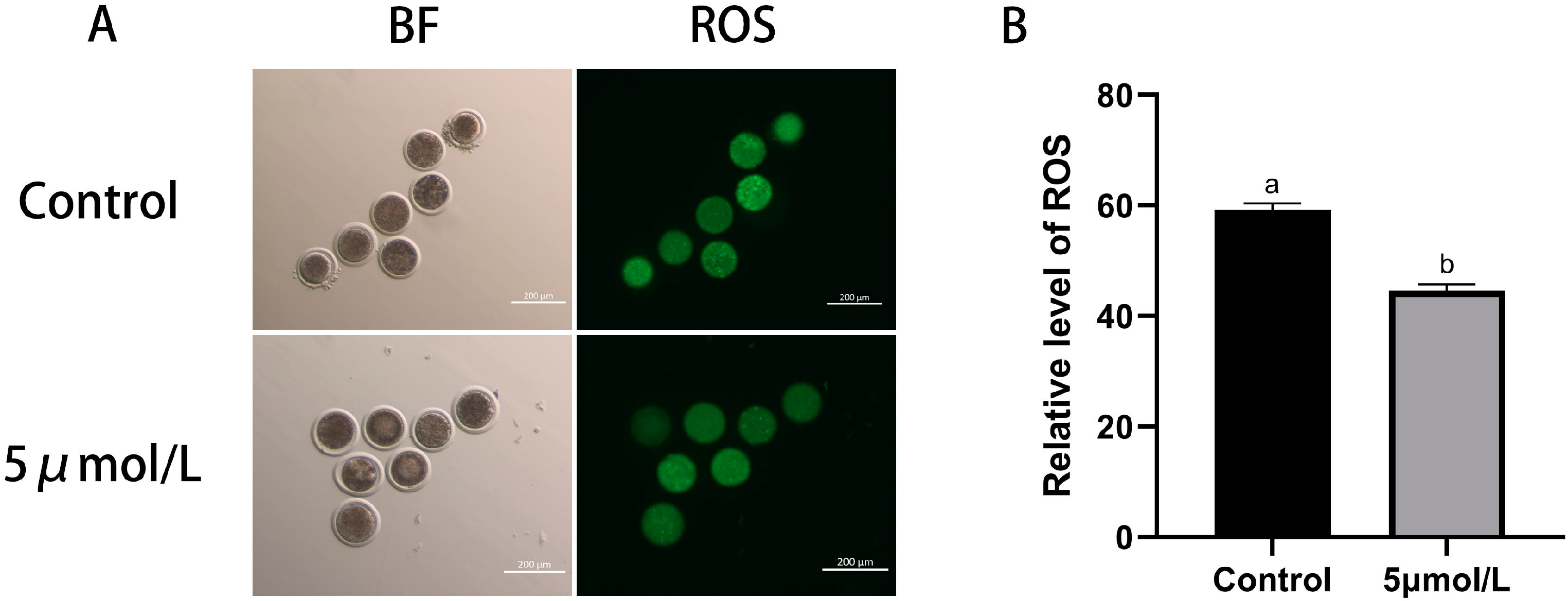 Animals 14 02929 g002