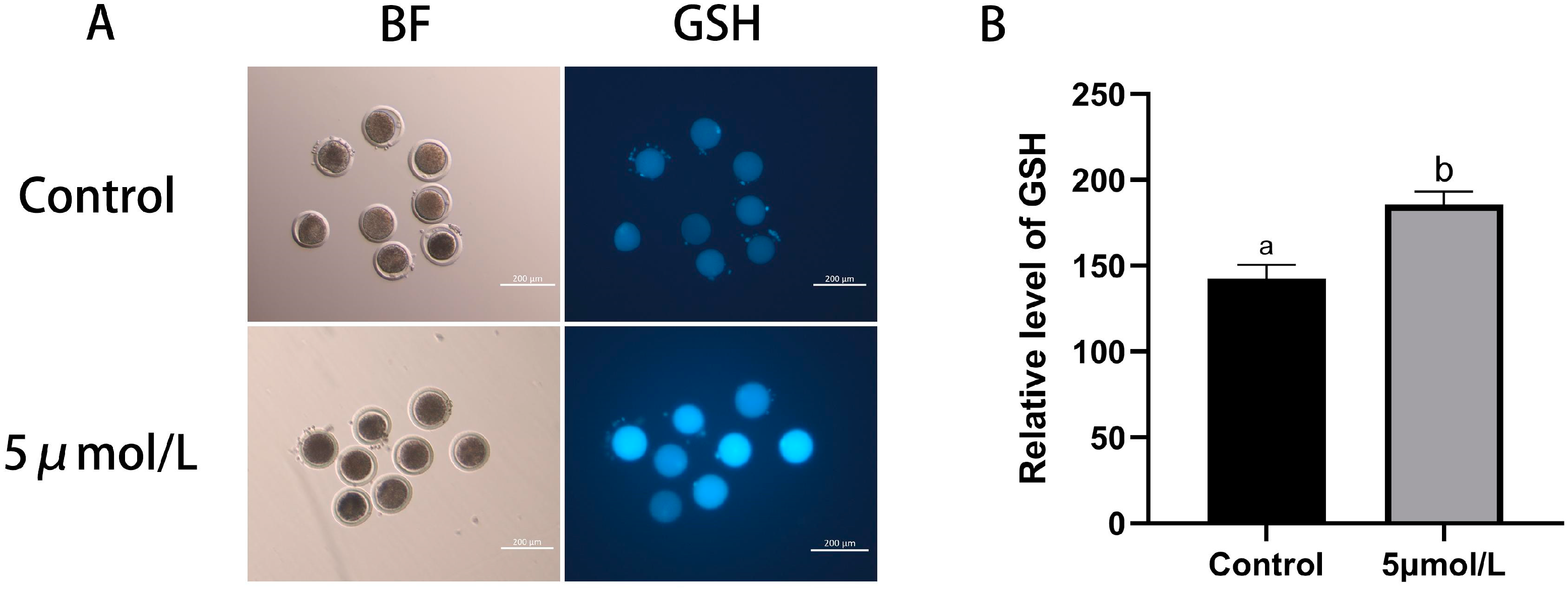 Animals 14 02929 g003