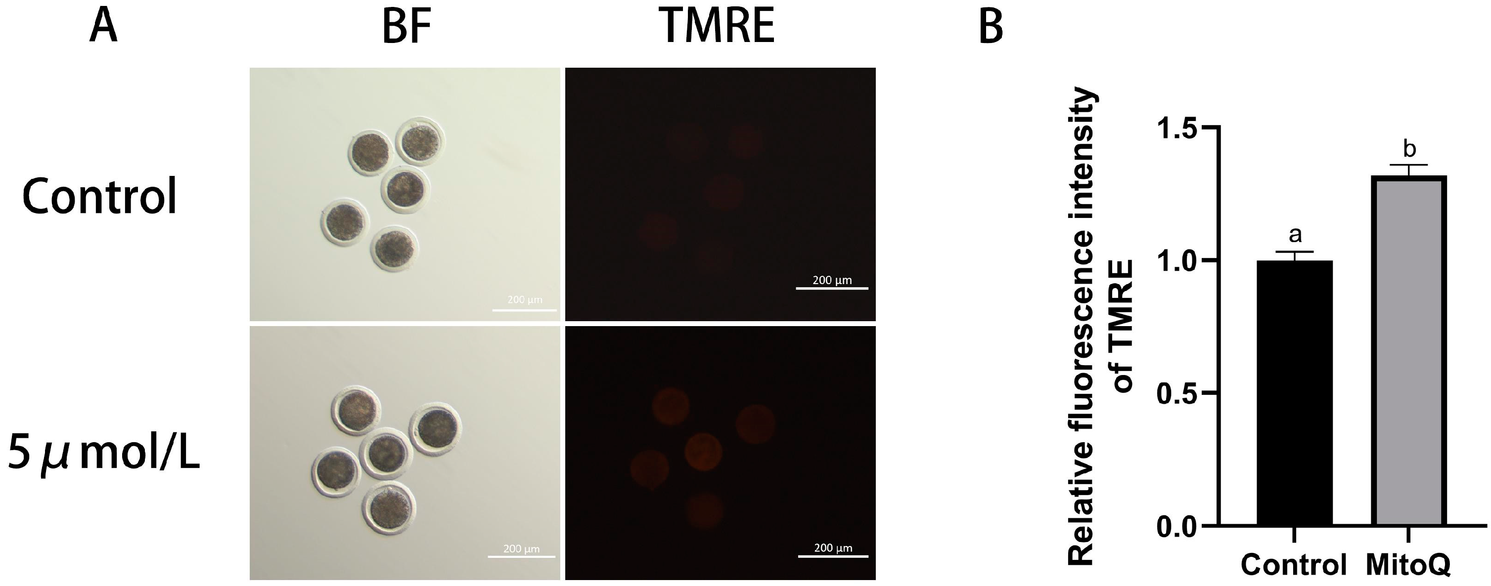 Animals 14 02929 g004