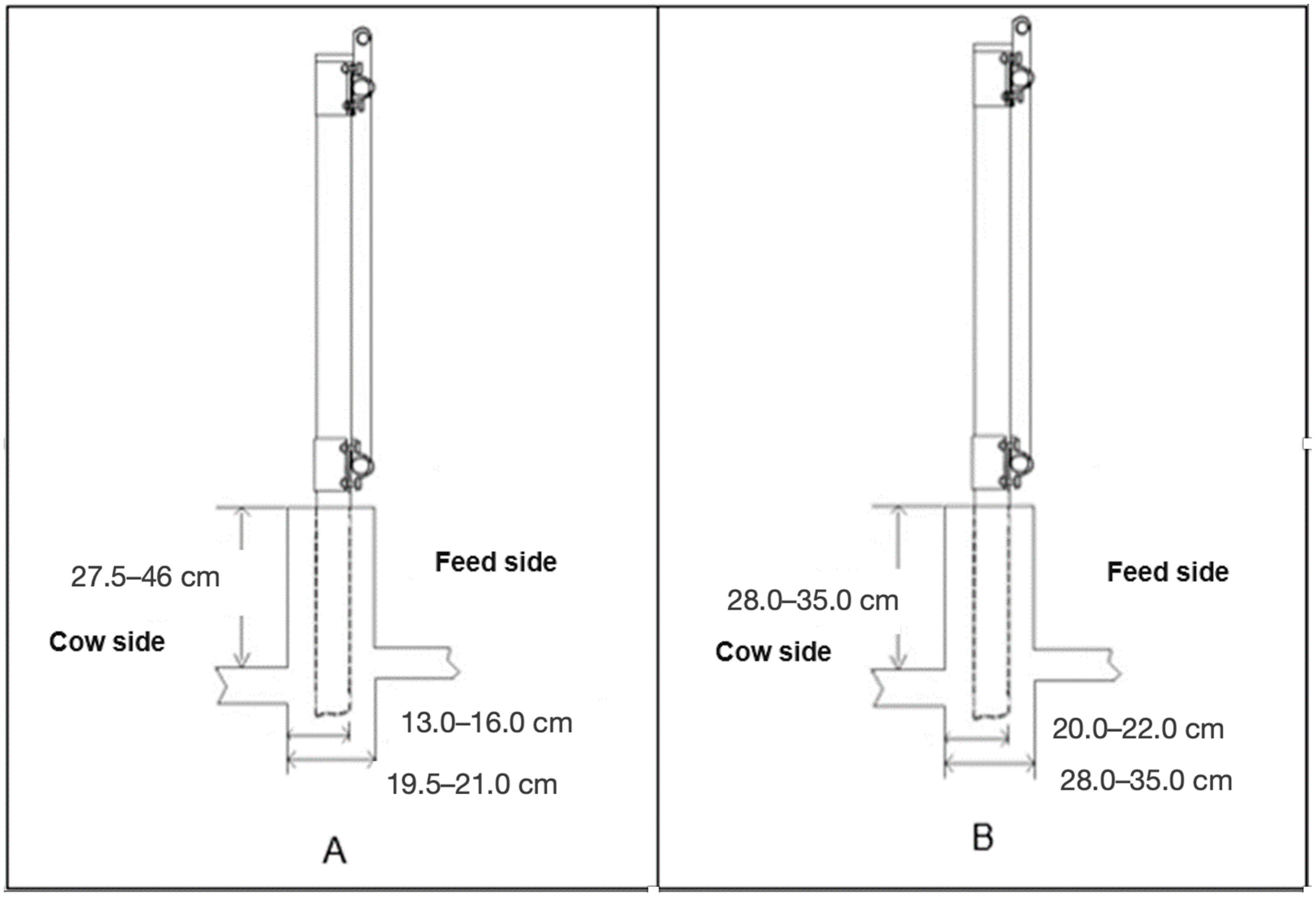 Animals 14 02930 g002