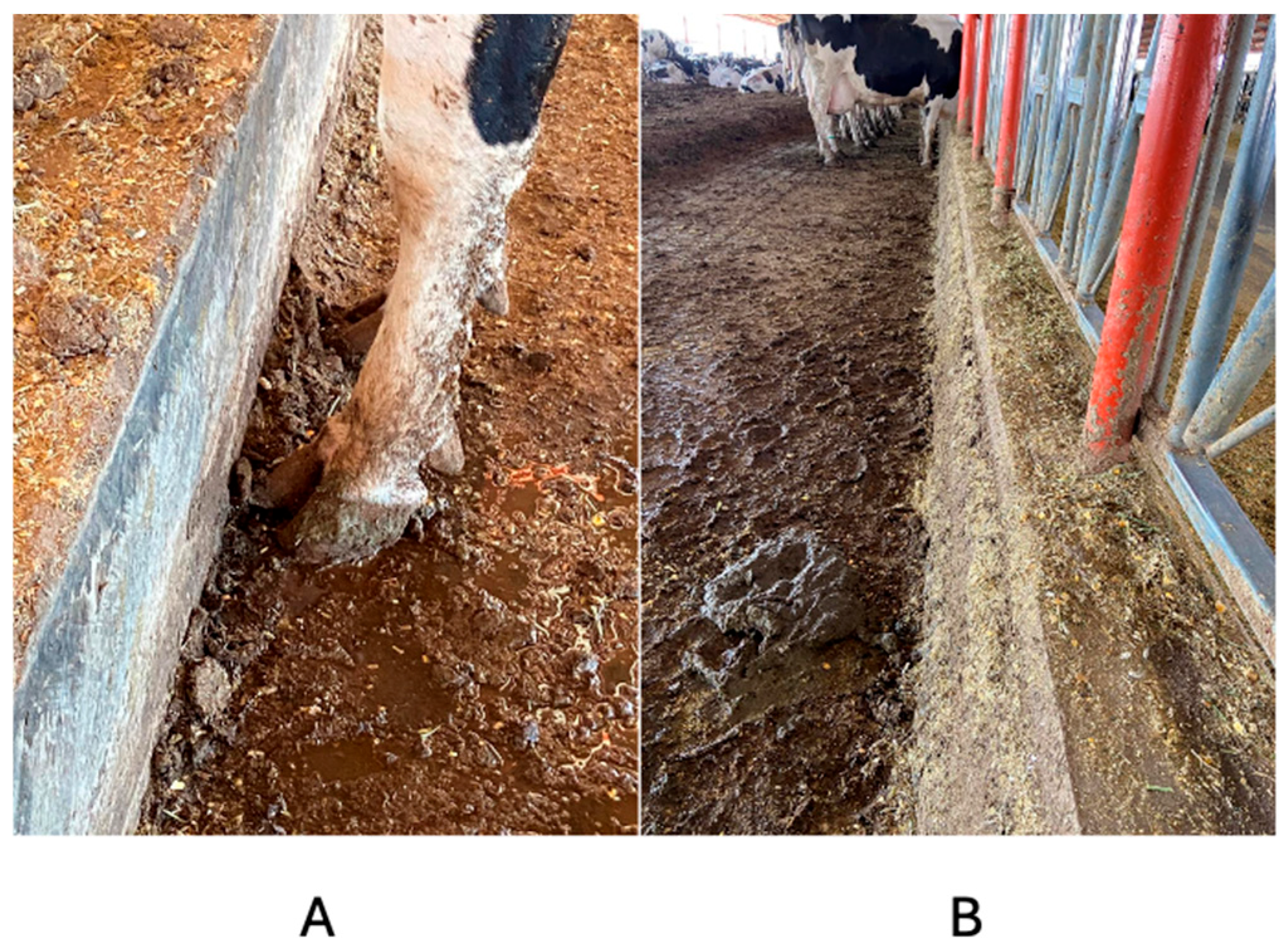 Animals 14 02930 g007