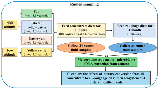 S.k様オーダー Dietary Conversion from All-Concentrate to All-Roughage