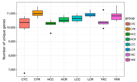 Dietary Conversion from All-Concentrate to All-Roughage