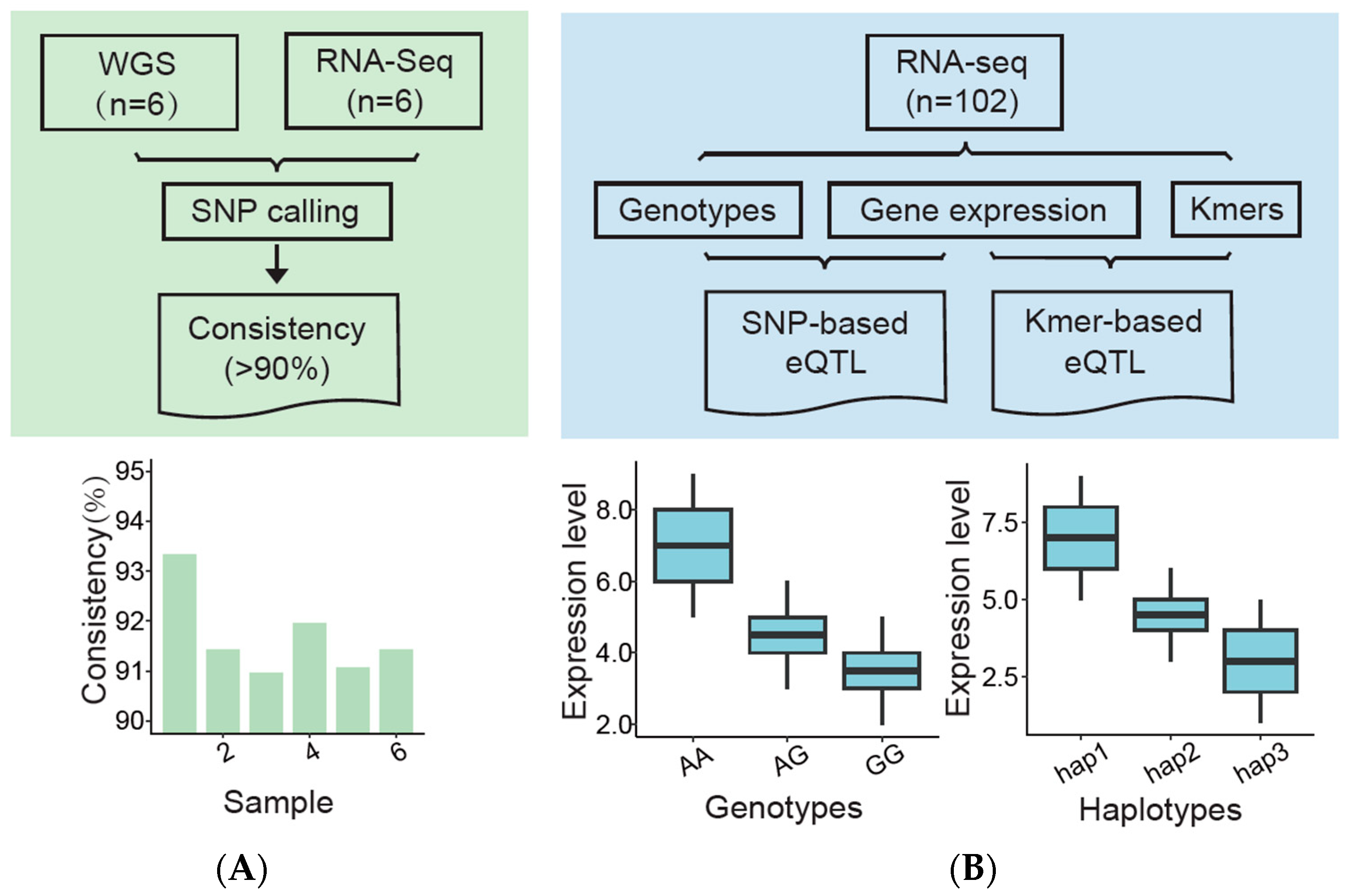 Animals 14 02941 g001