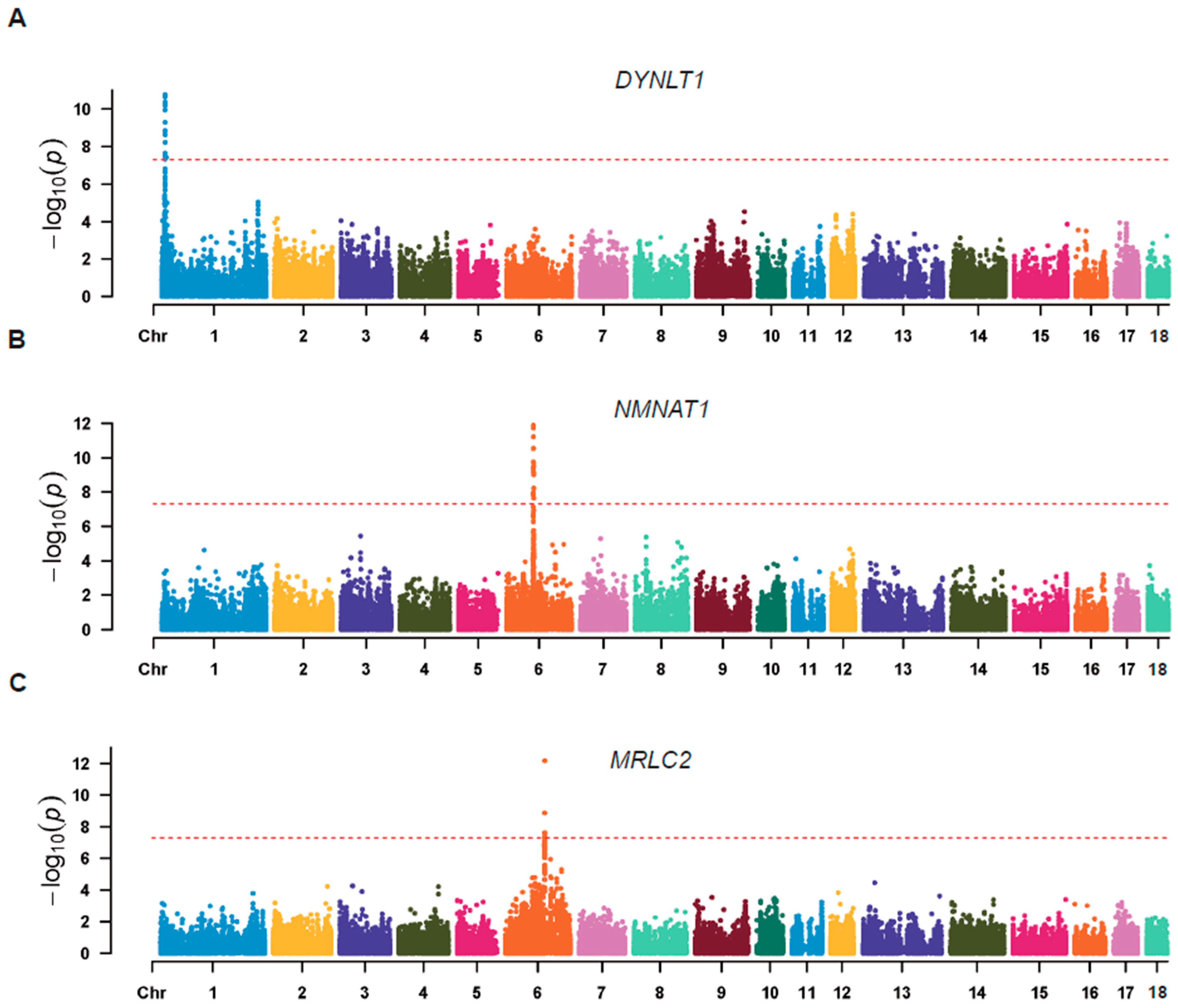 Animals 14 02941 g003