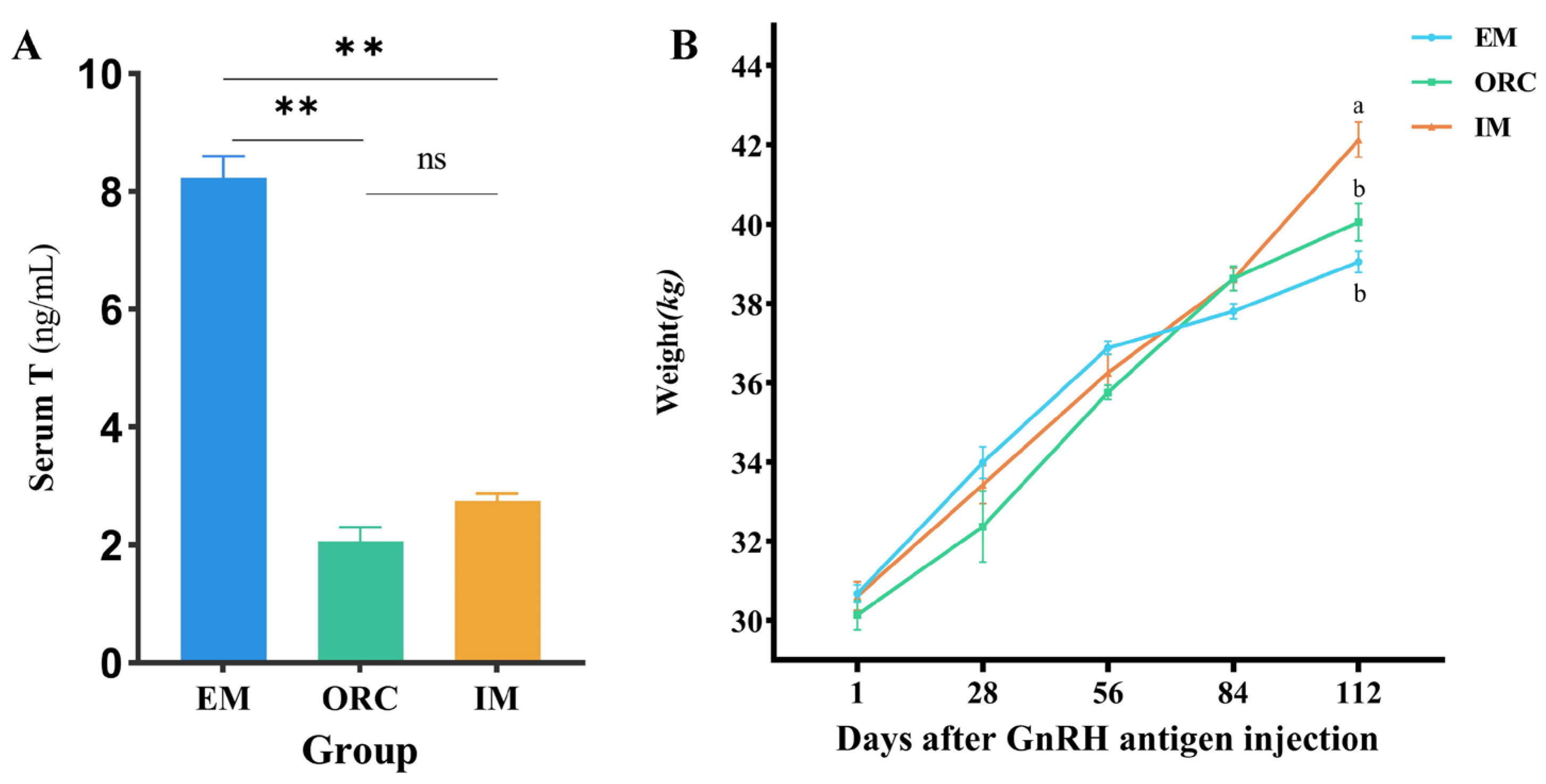 Animals 14 02942 g001