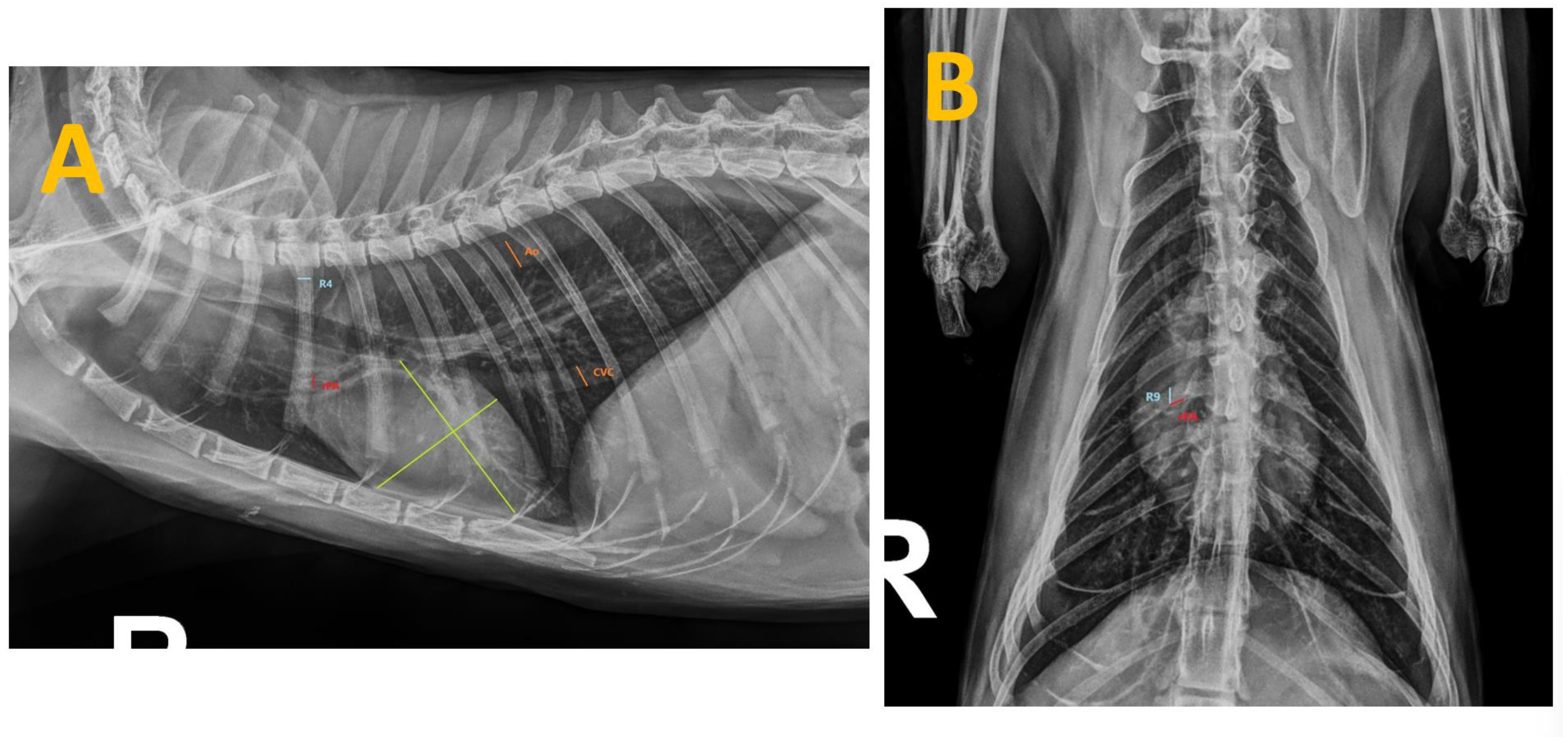 Animals 14 02943 g001