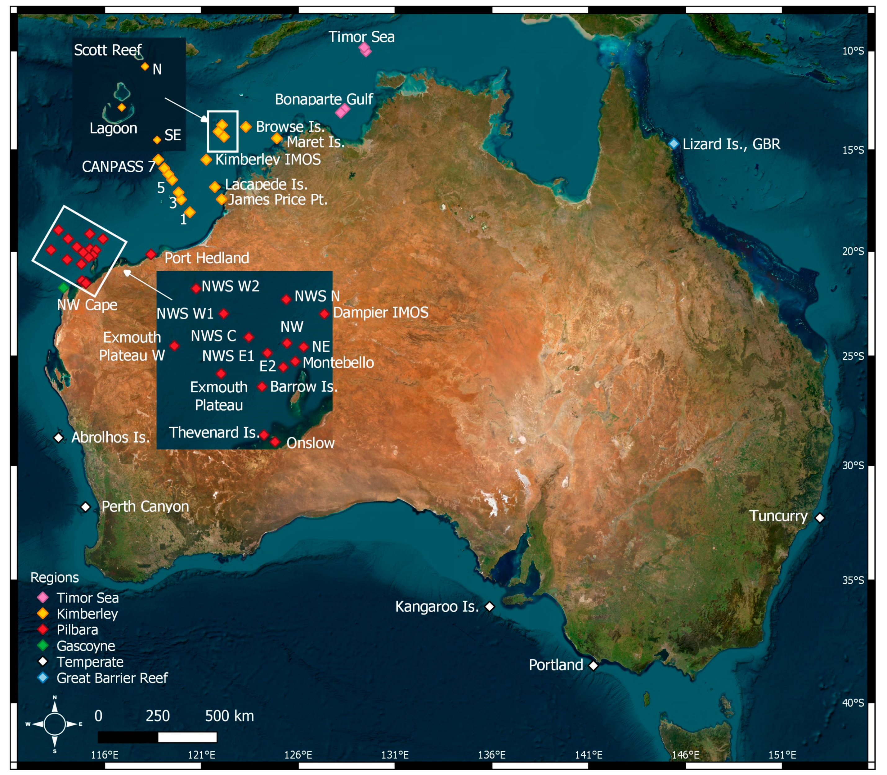 Animals 14 02944 g001