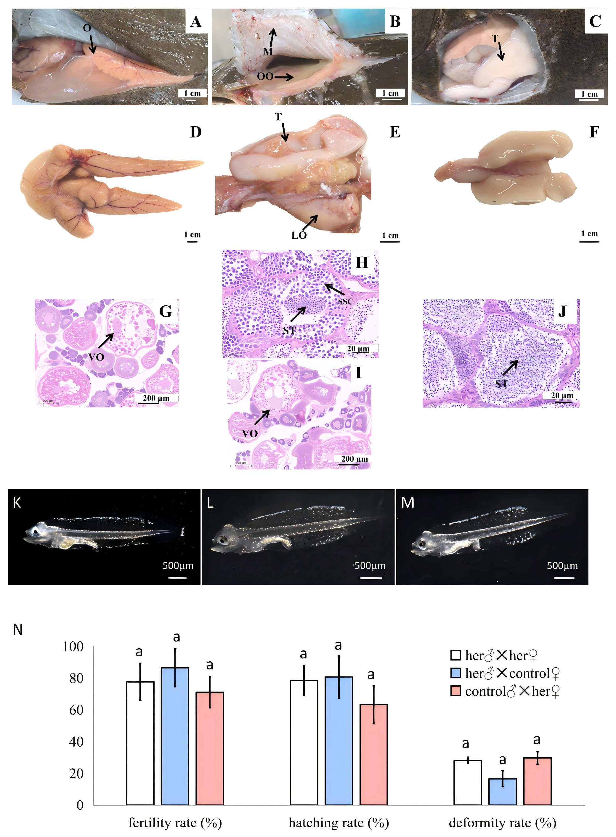 Animals 14 02948 g001