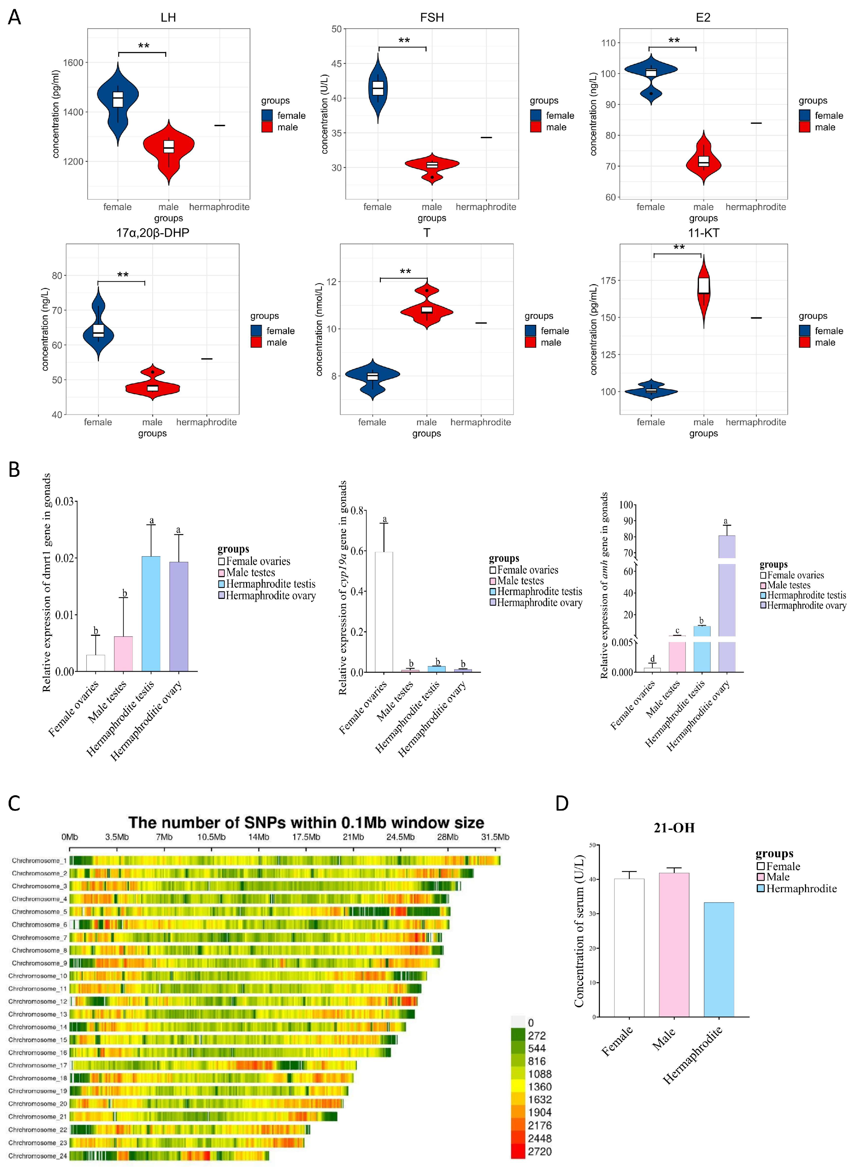 Animals 14 02948 g002