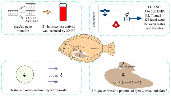 【GENBE】 Dynamic changes in the transcriptome and metabolome of pig
