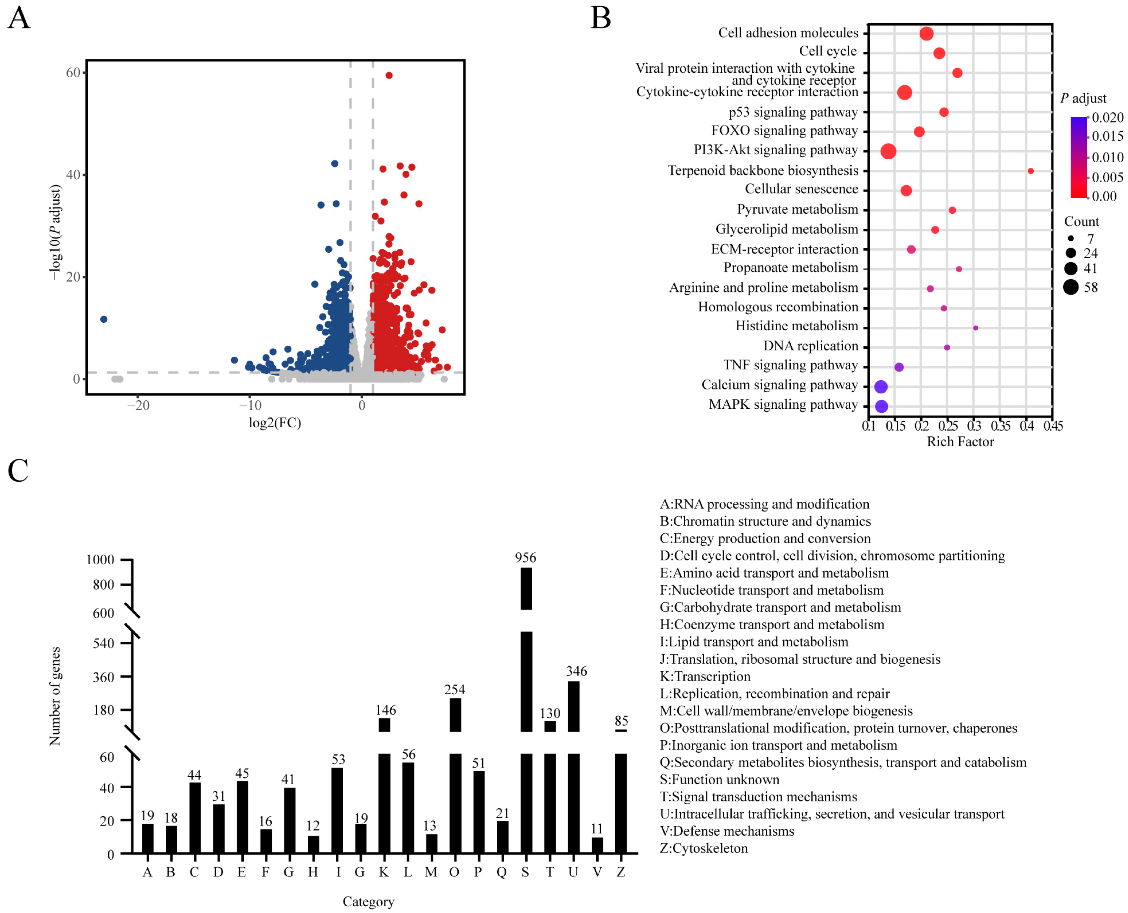 Animals 14 02955 g004