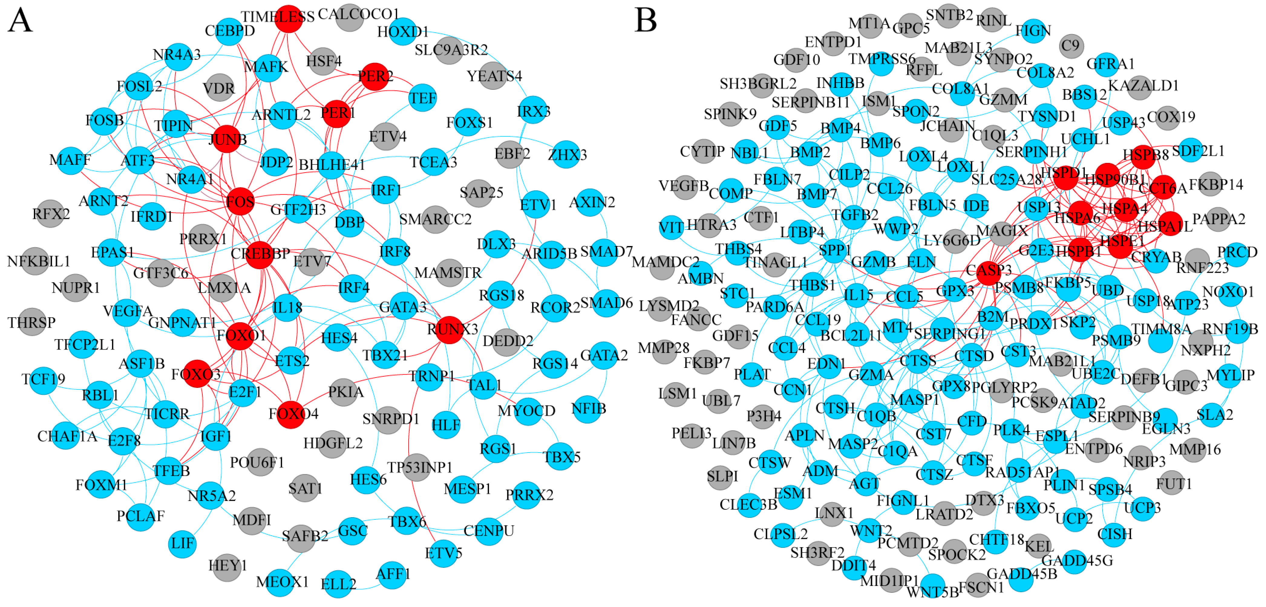 Animals 14 02955 g005