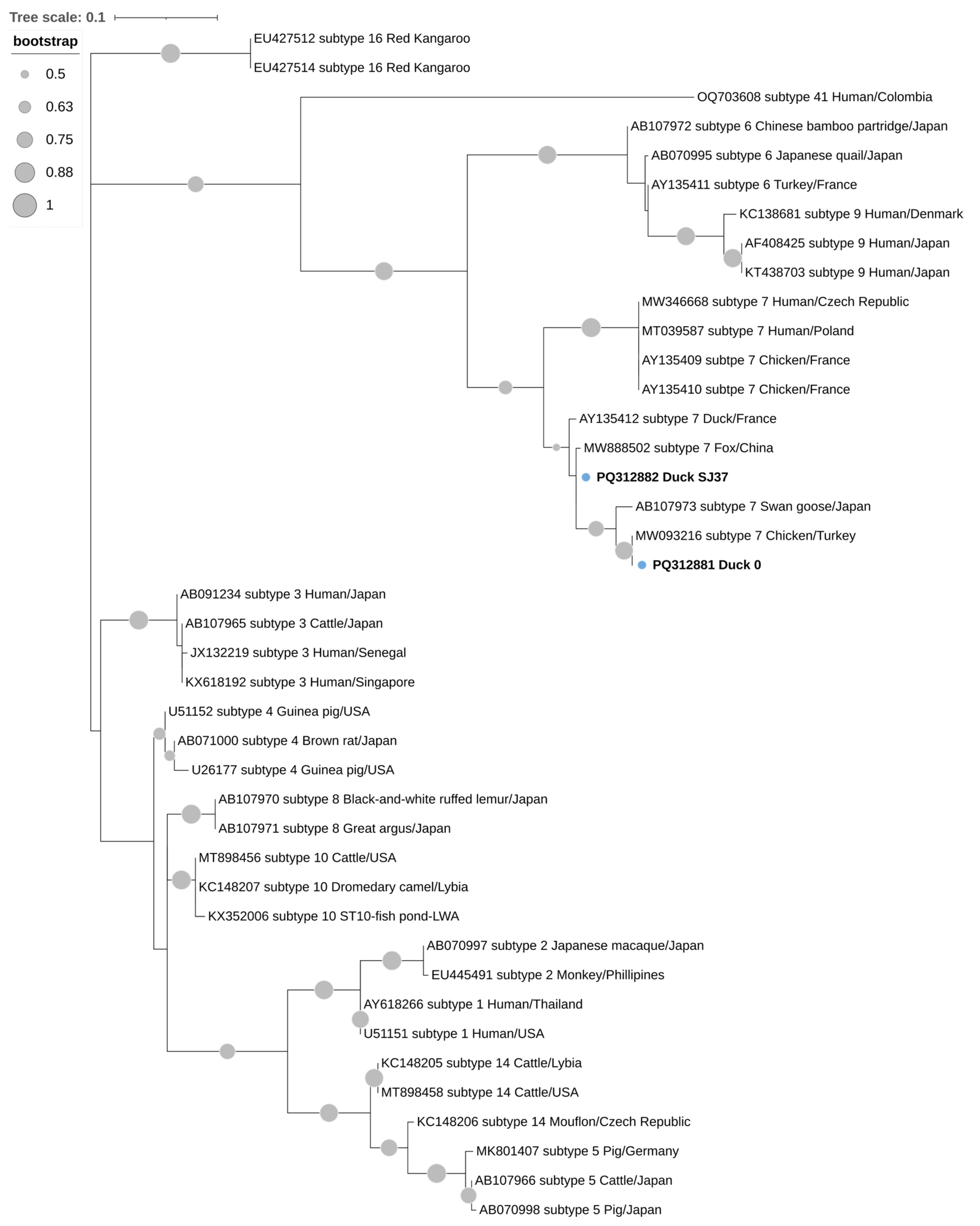 Animals 14 02956 g002