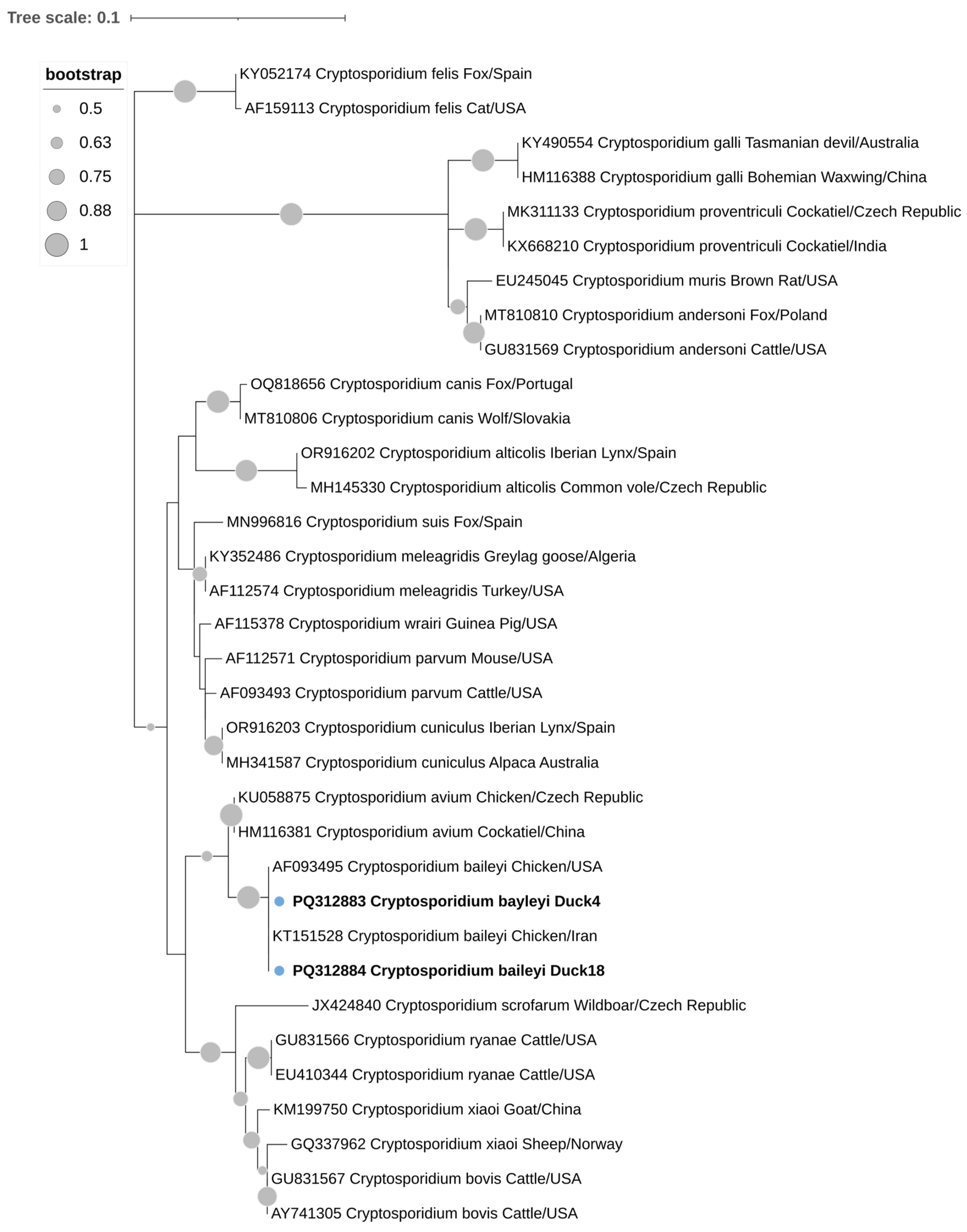 Animals 14 02956 g003