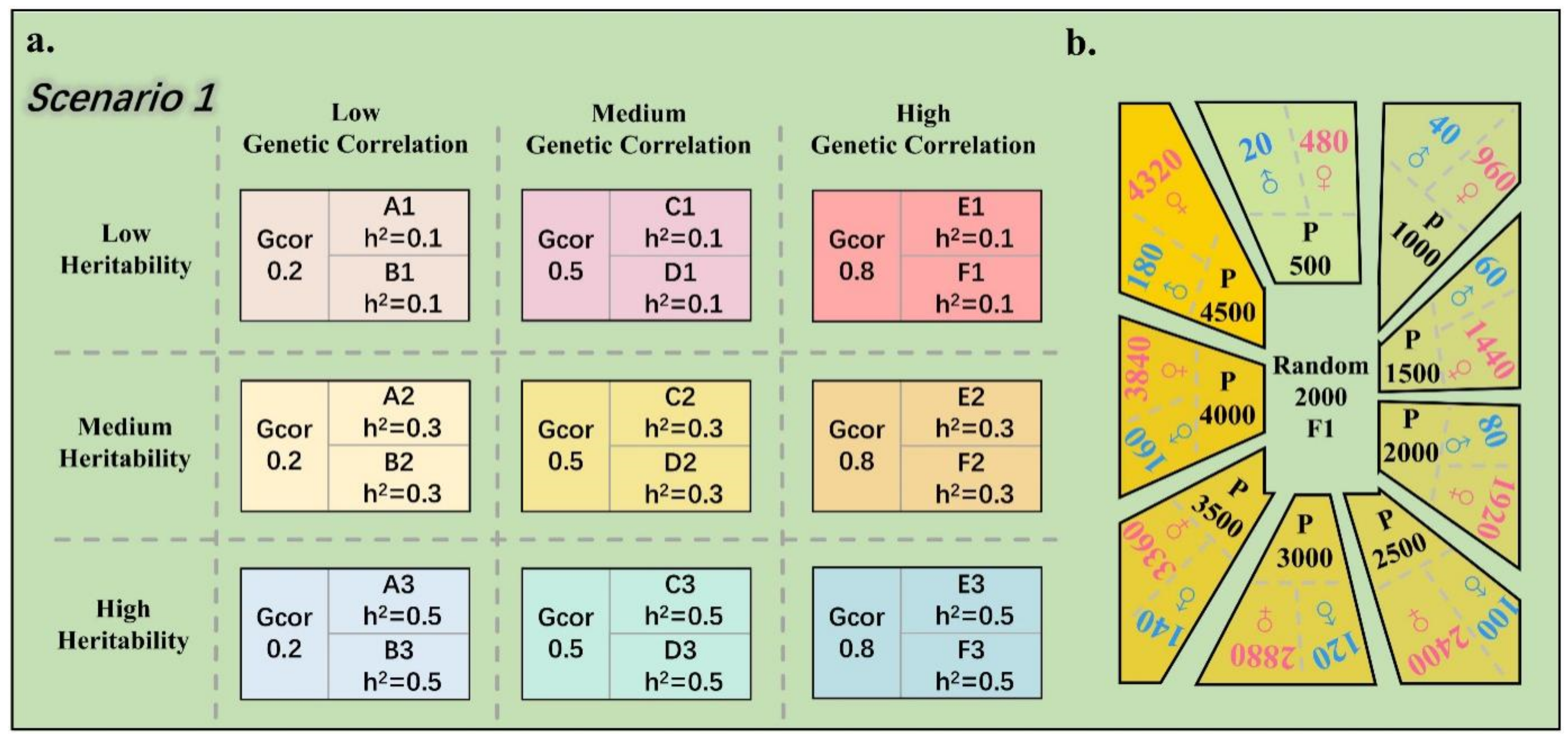 Animals 14 02961 g002 Animals 14 02961 g002