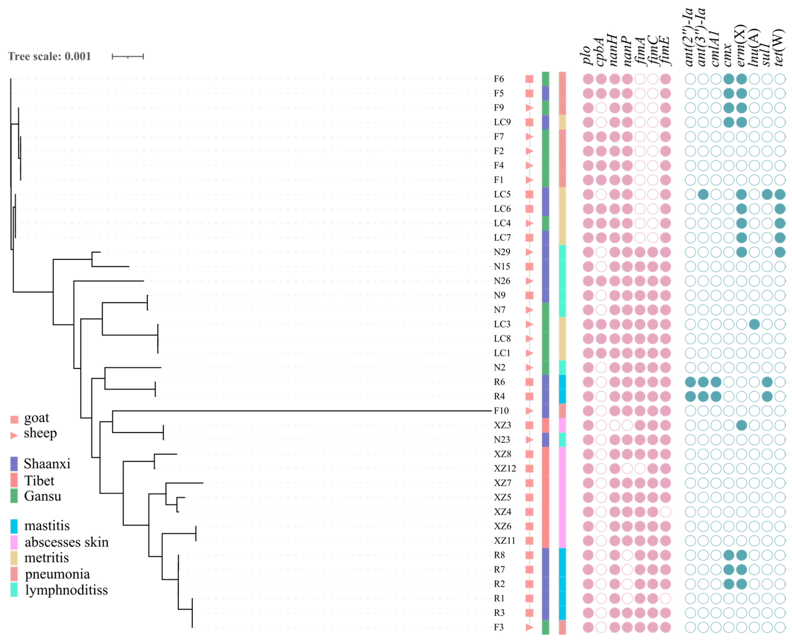 Animals 14 02964 g005 Animals 14 02964 g005