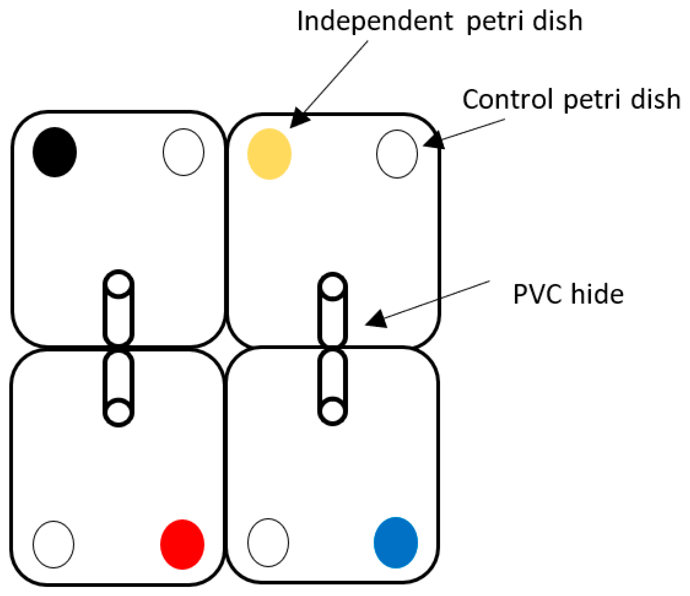 Animals 14 02971 g001