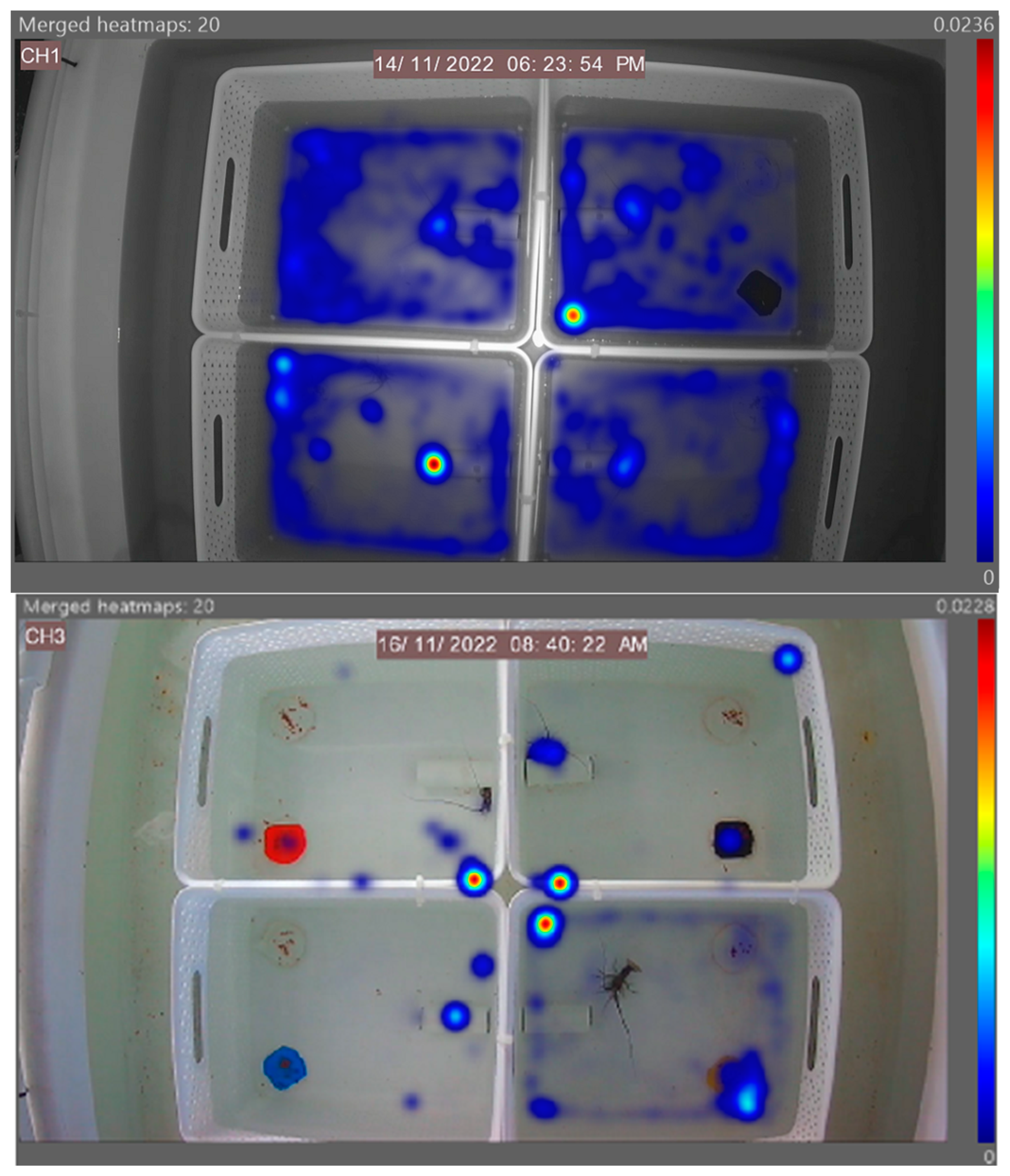 Animals 14 02971 g006