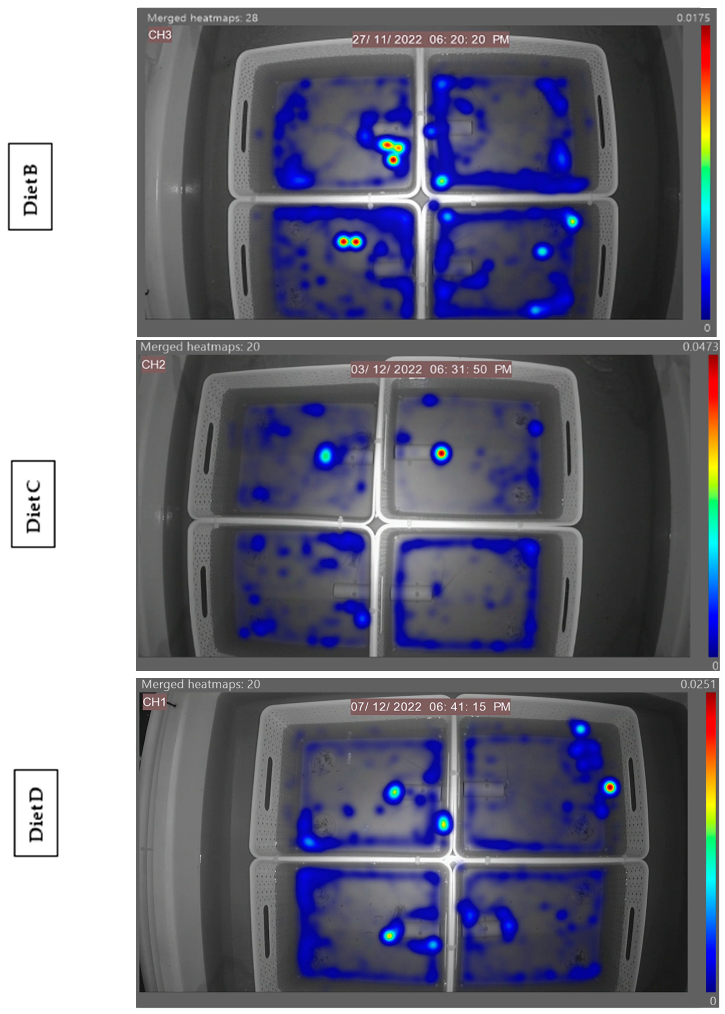 Animals 14 02971 g011