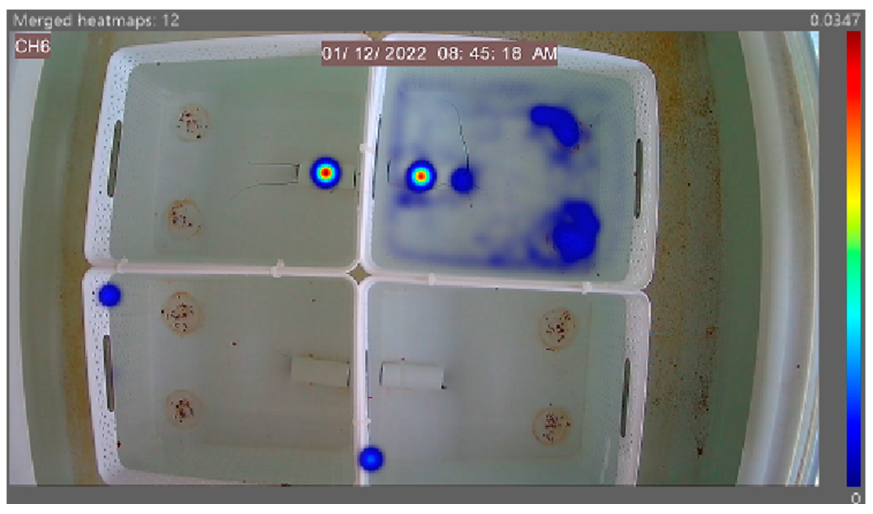 Animals 14 02971 g012