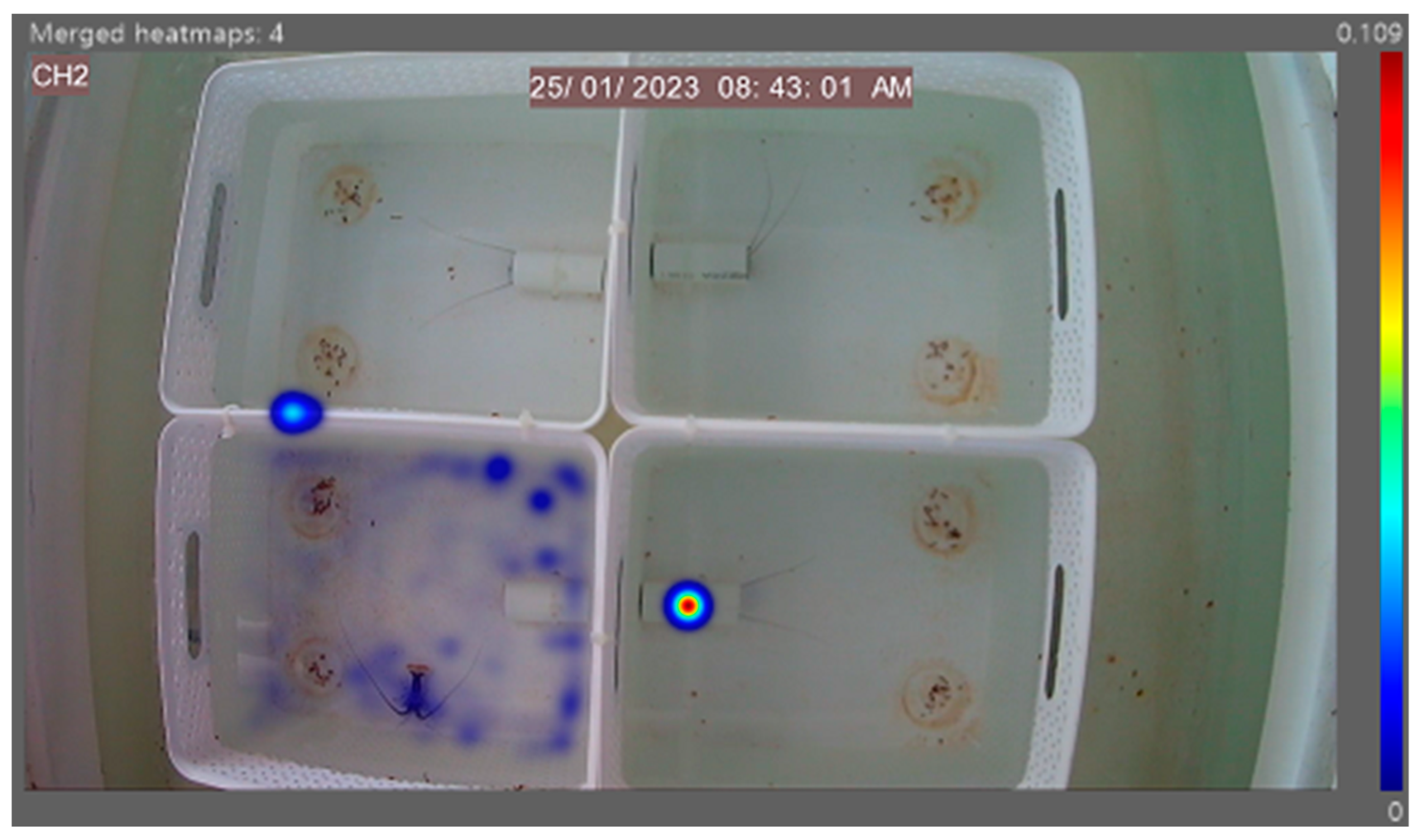 Animals 14 02971 g018