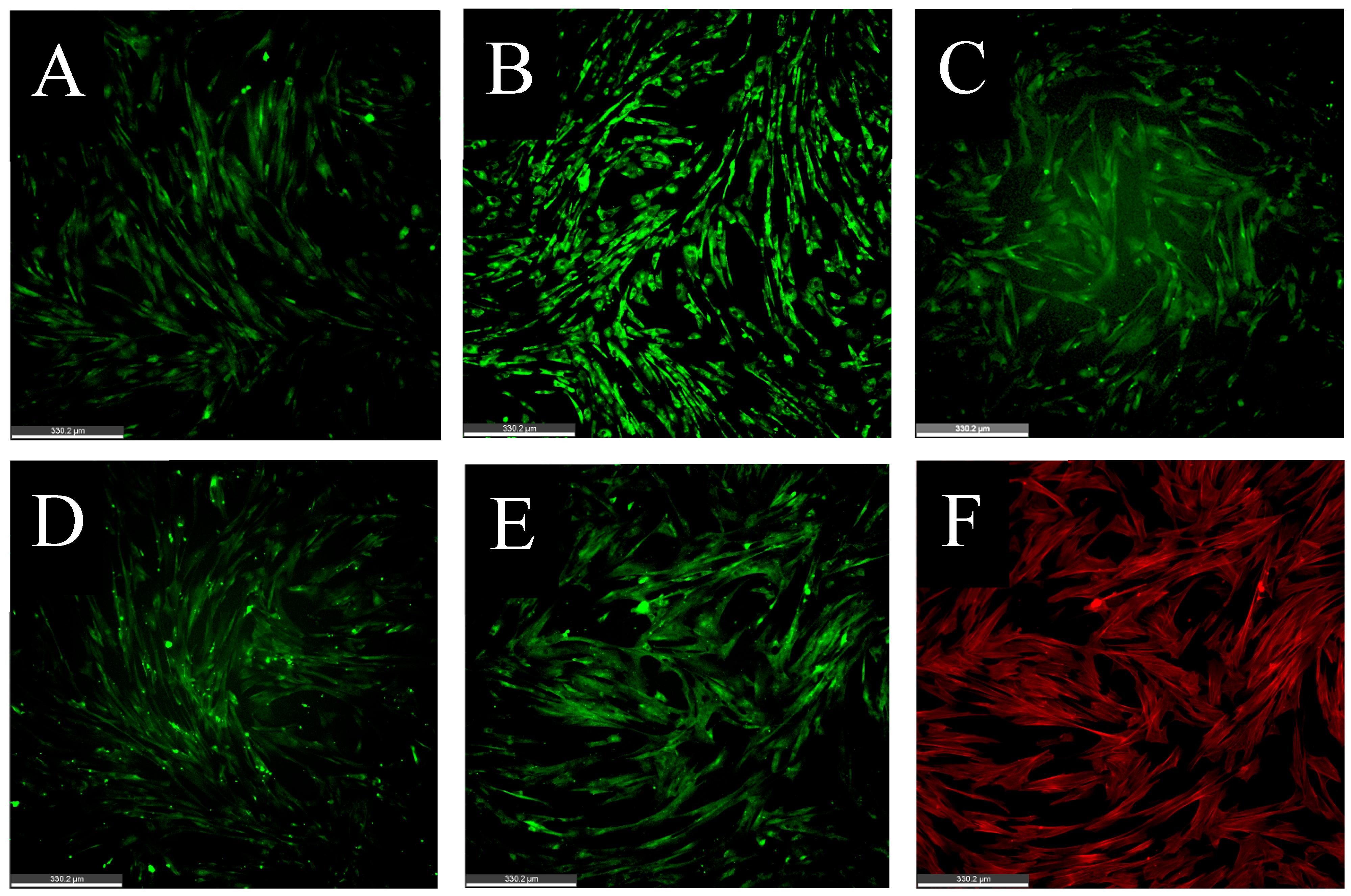 Animals 14 02974 g005