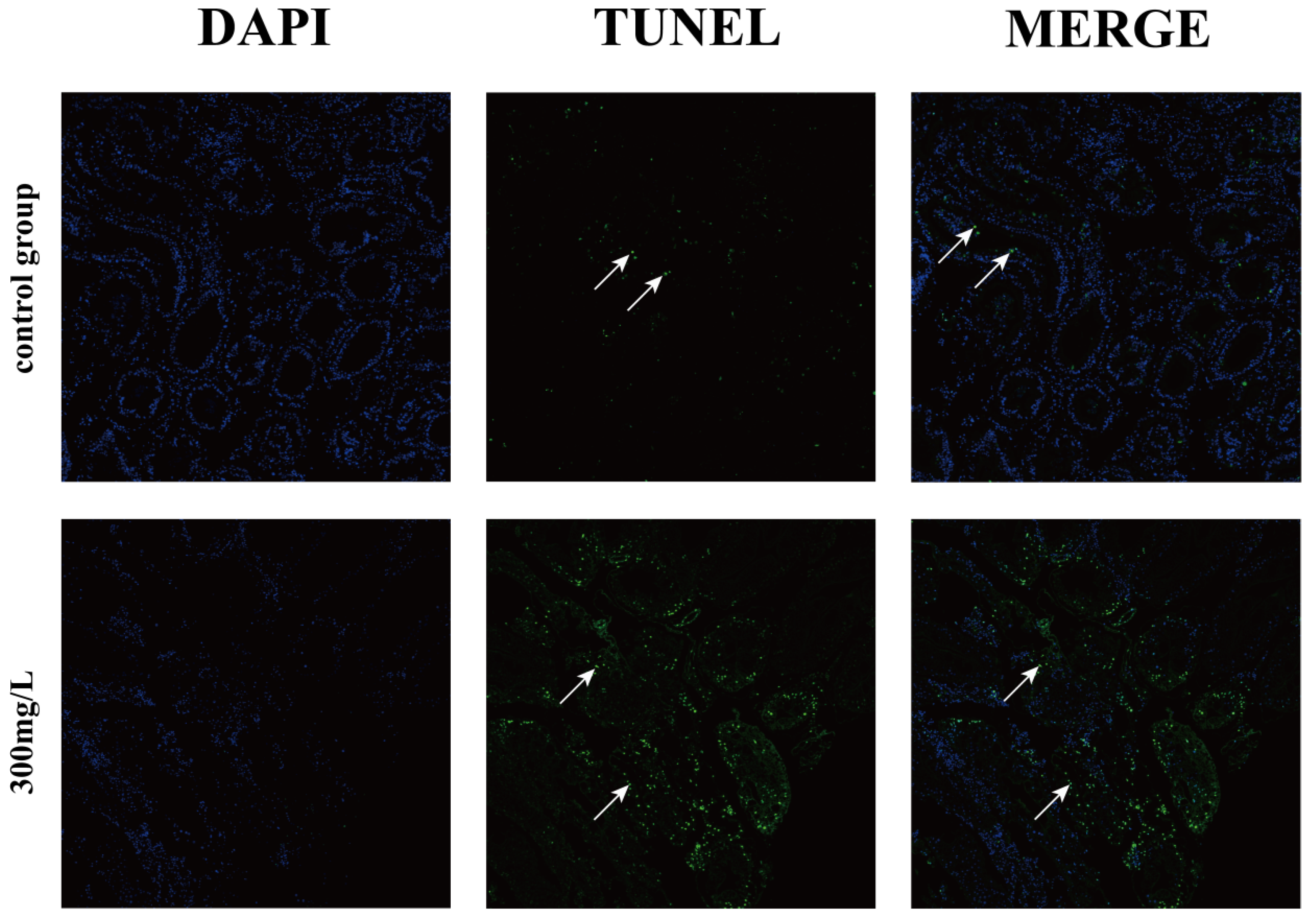 Animals 14 02981 g003