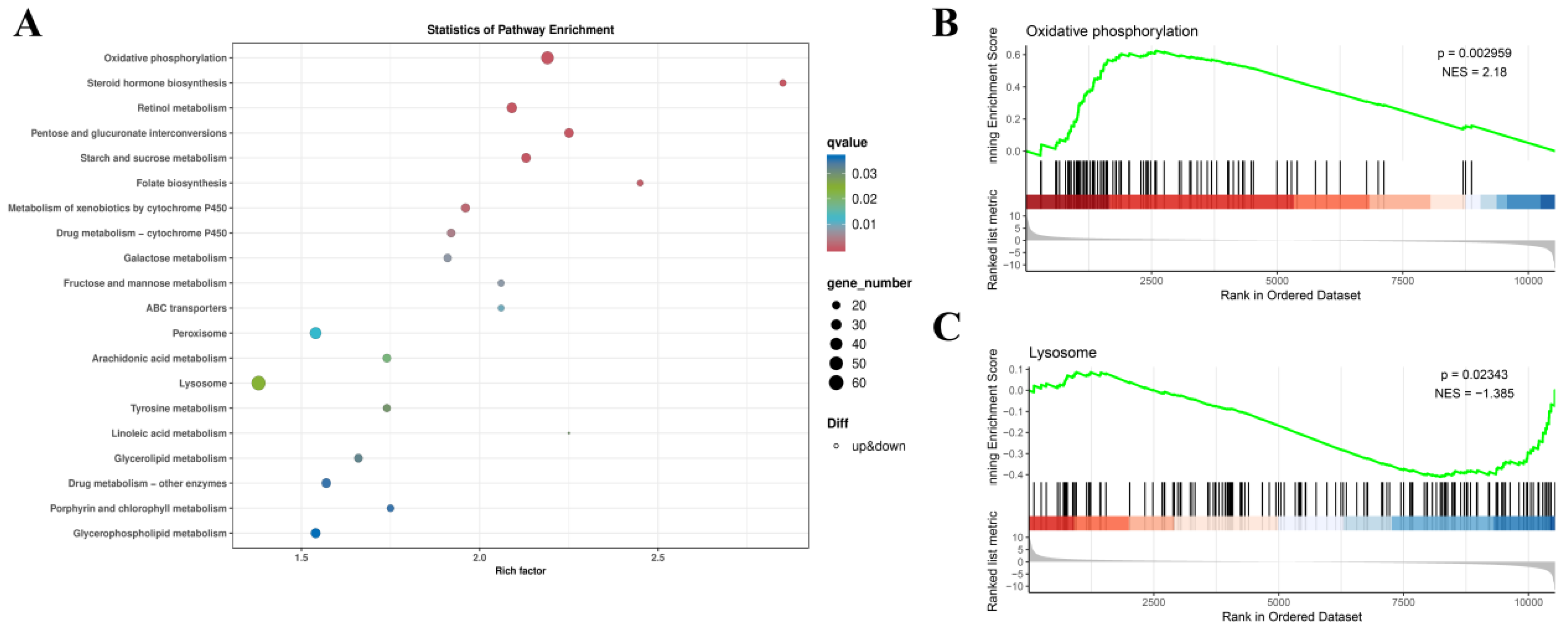 Animals 14 02981 g007