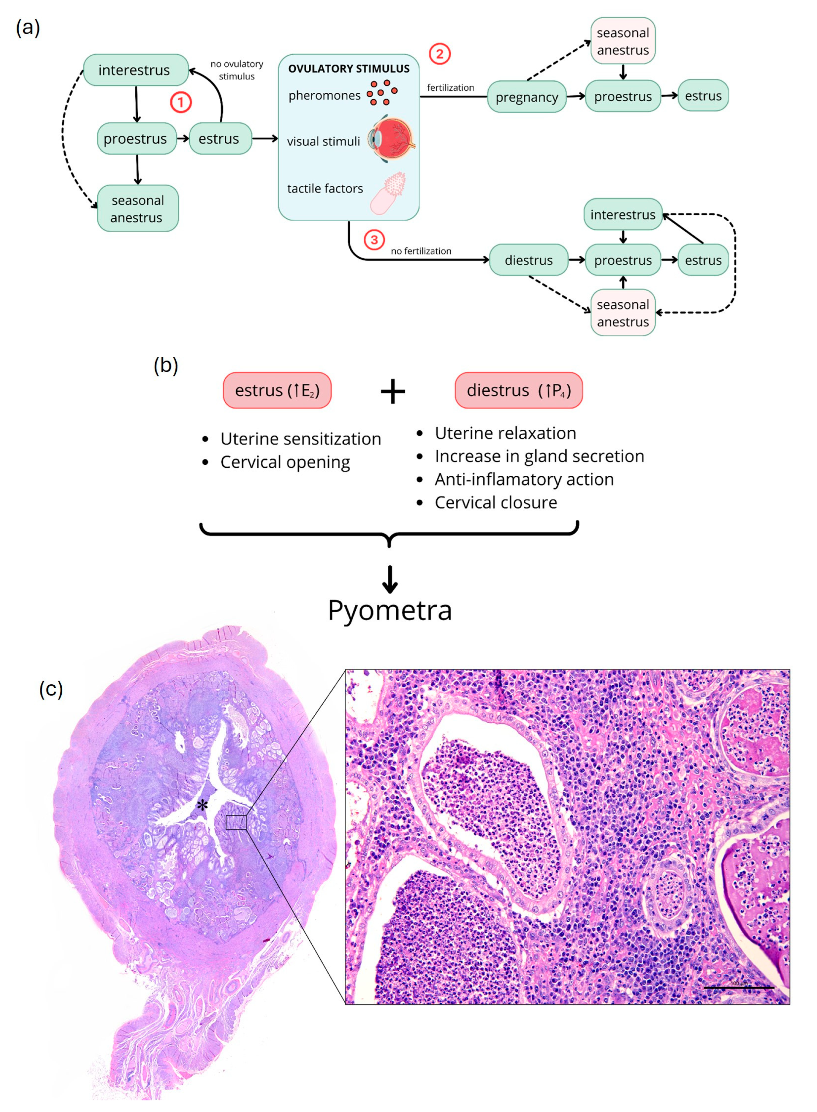 Animals 14 02987 g001 Animals 14 02987 g001